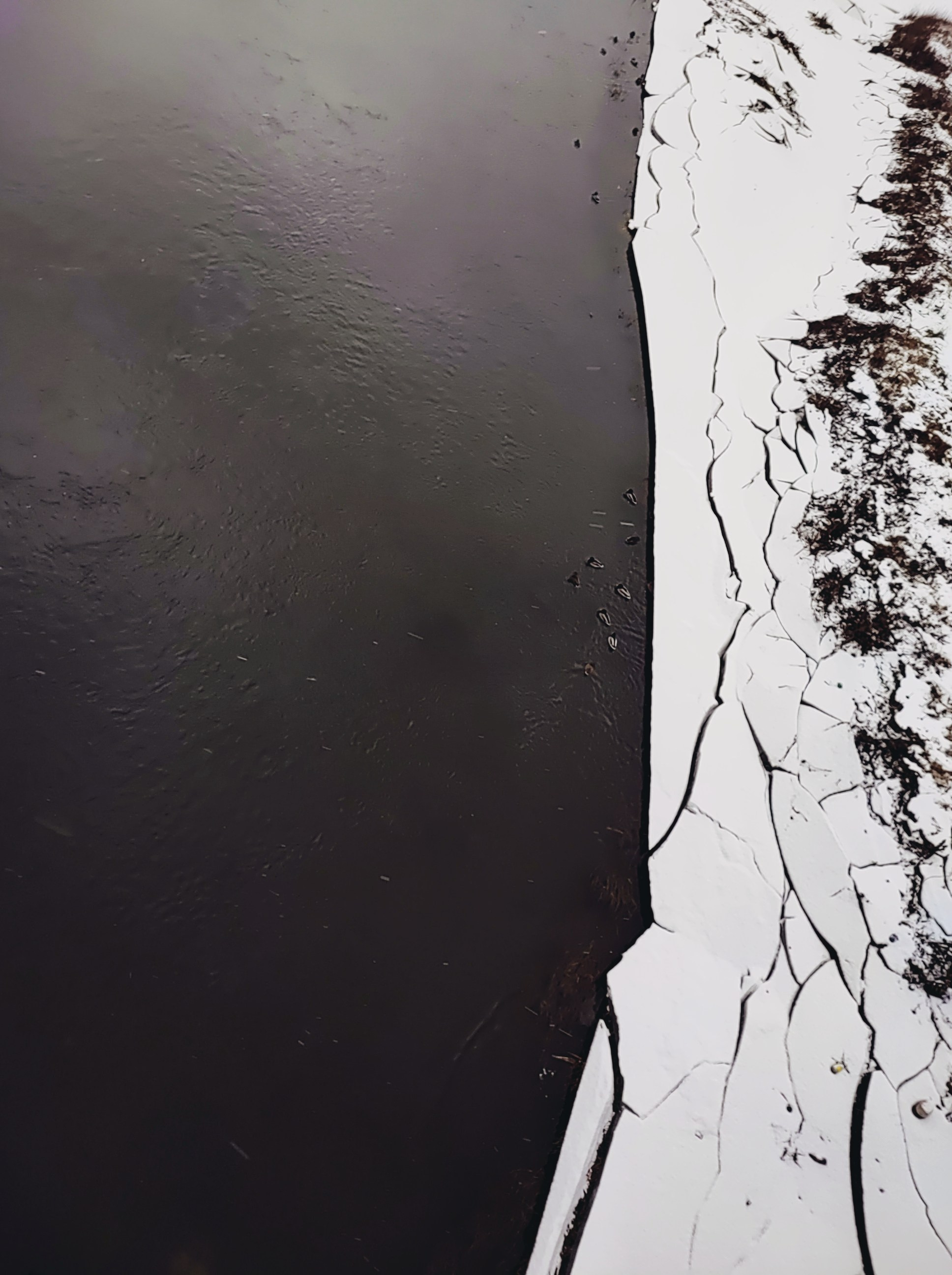 Намобилкус тульский. Репортажный фотограф Алексей Пирязев