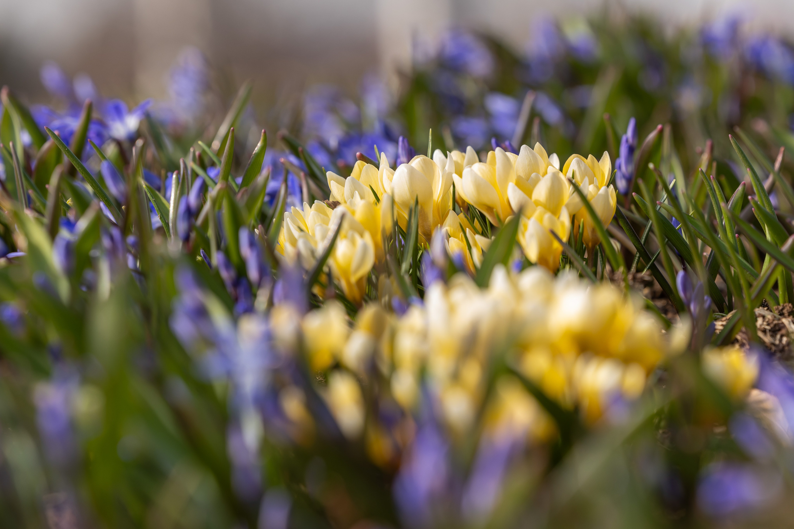 Городской пейзаж. Фотограф Владимир Охрименко