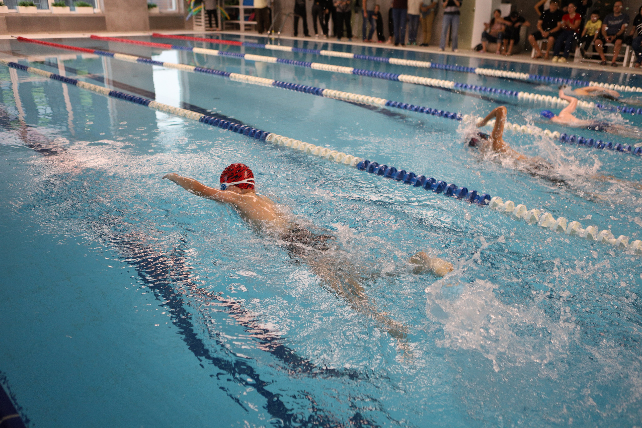 Соревнования по плаванию. Фотограф Москва — Сергеева Анастасия