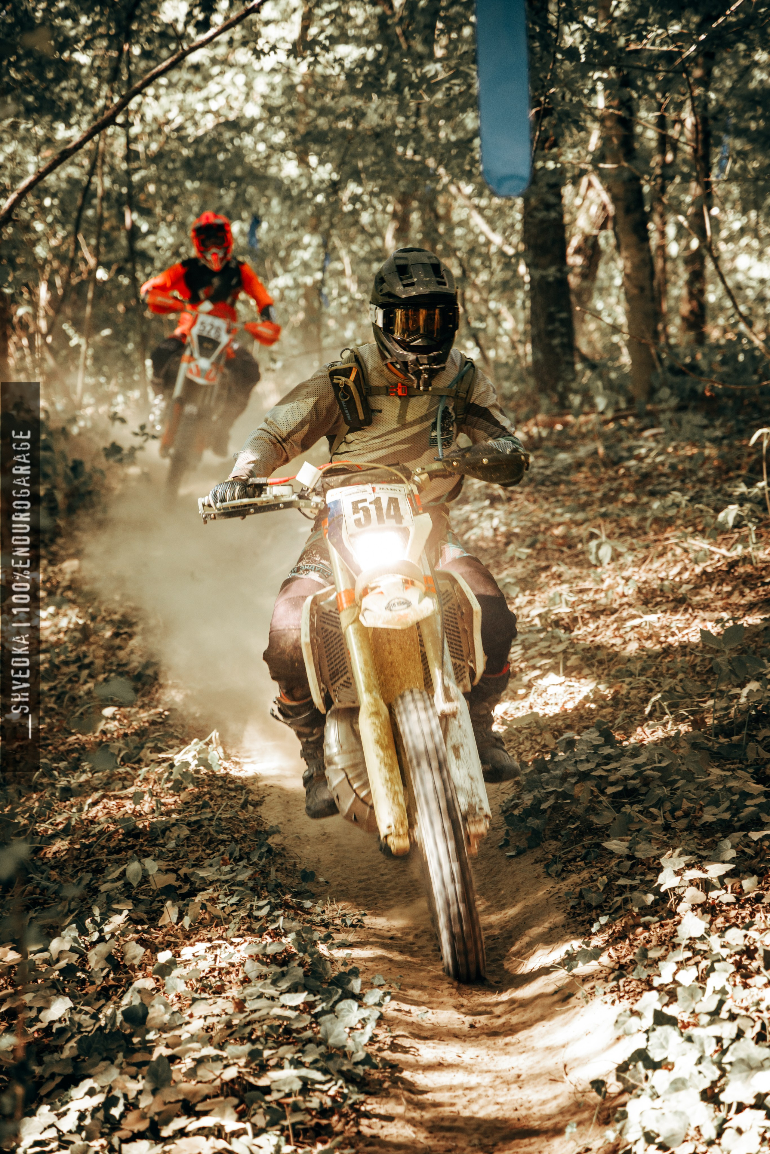 1 лесной день. Ваш экстрим фотограф Кудрева Яна