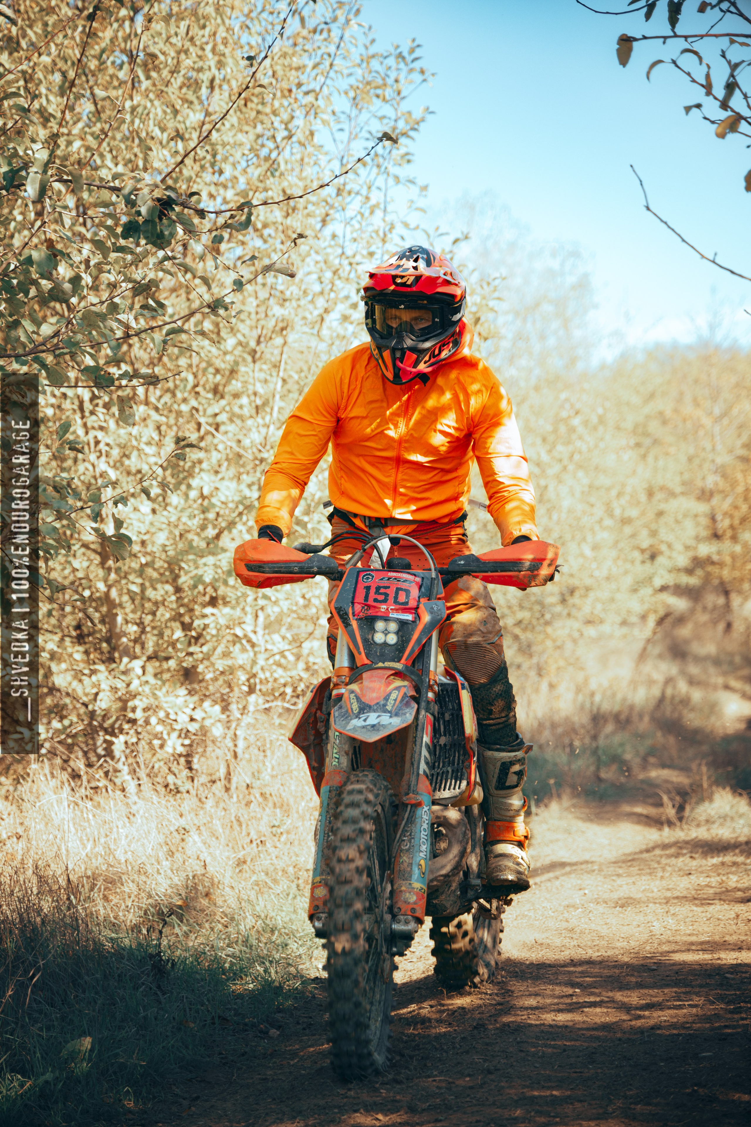 2 ЛЕСНОЙ ДЕНЬ ФИНИШ. Ваш экстрим фотограф Кудрева Яна