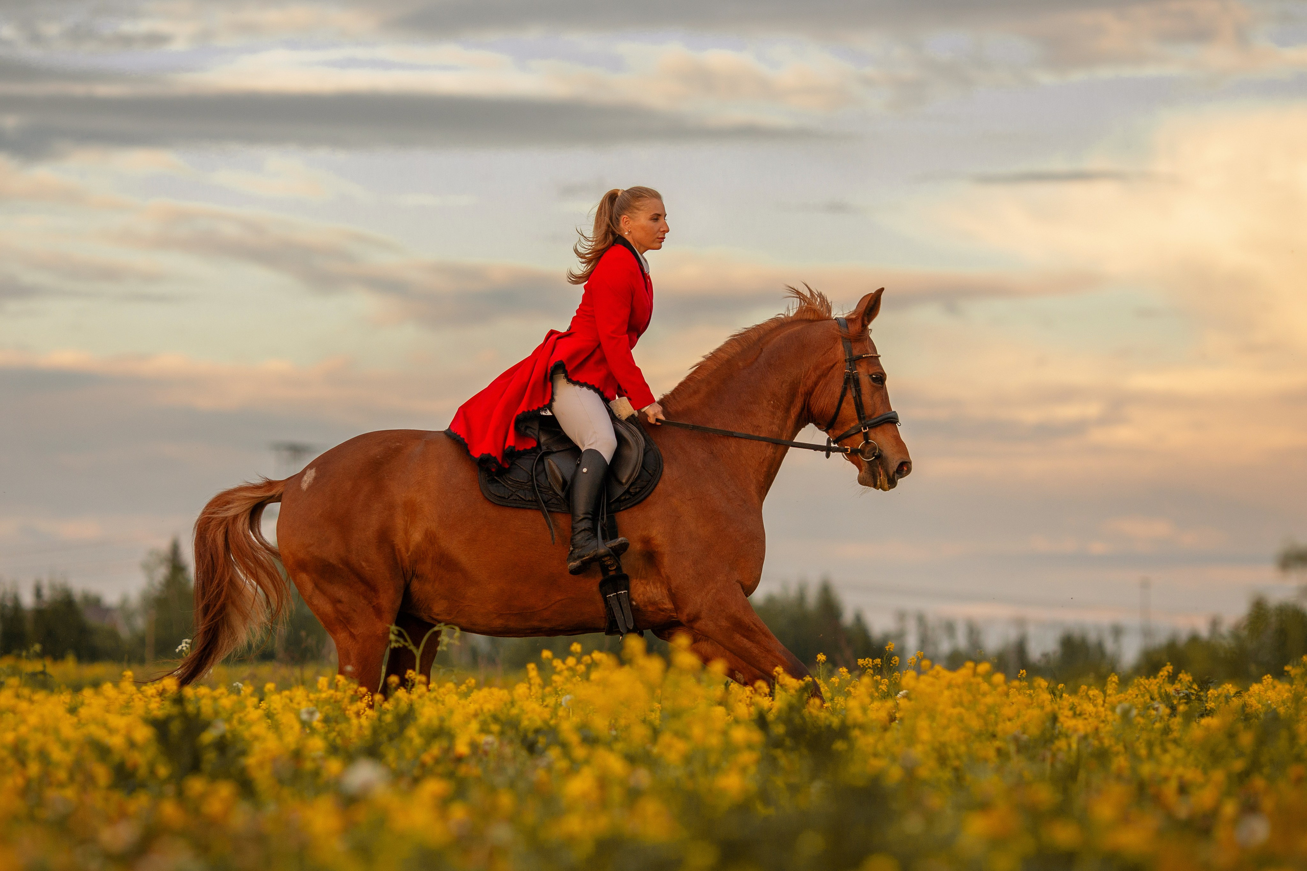 Фотосессия в цветущем поле