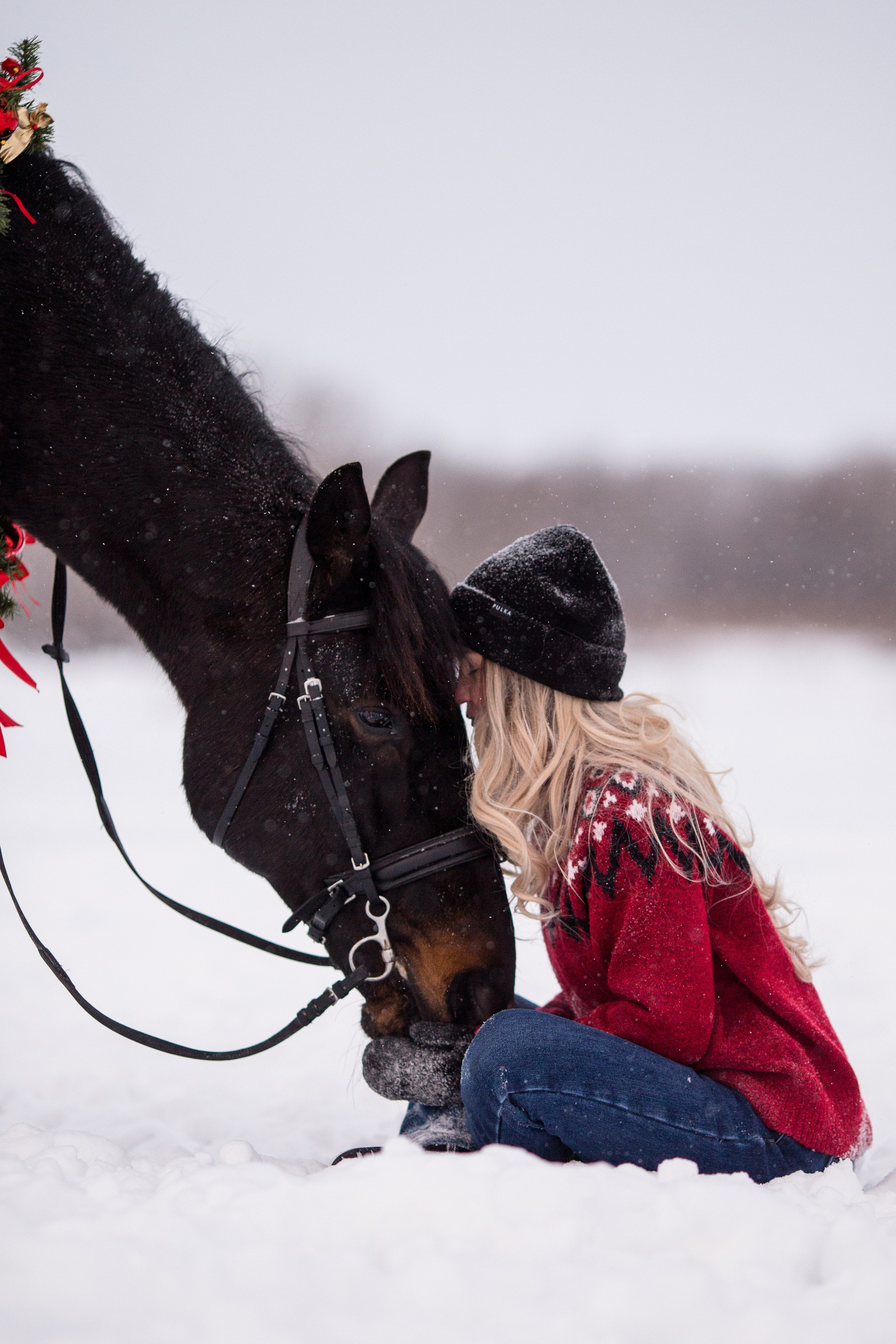 Новогодняя фотосессия с лошадью