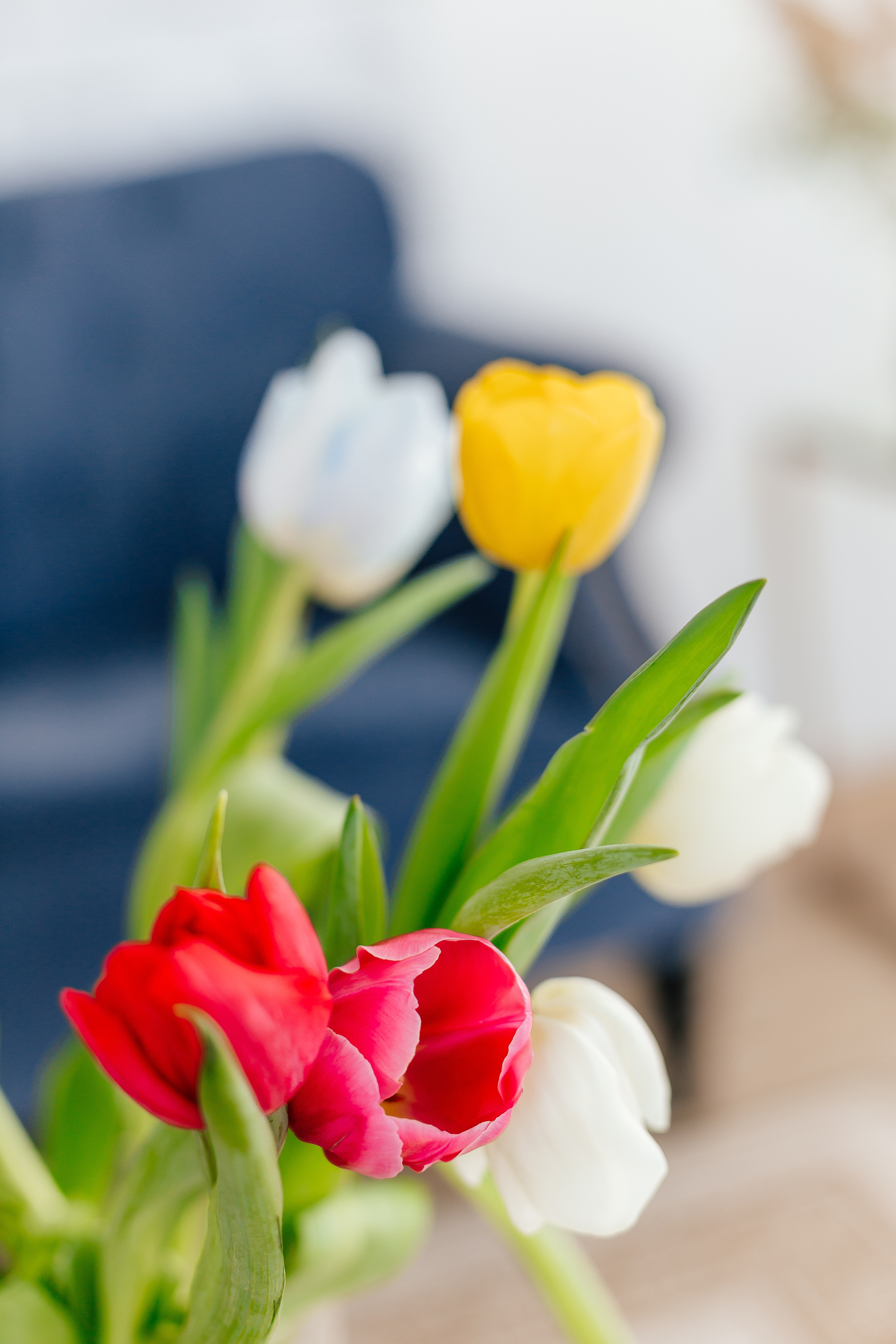 Ксения с сыновьями. Фотограф Бурятии София Андриянова