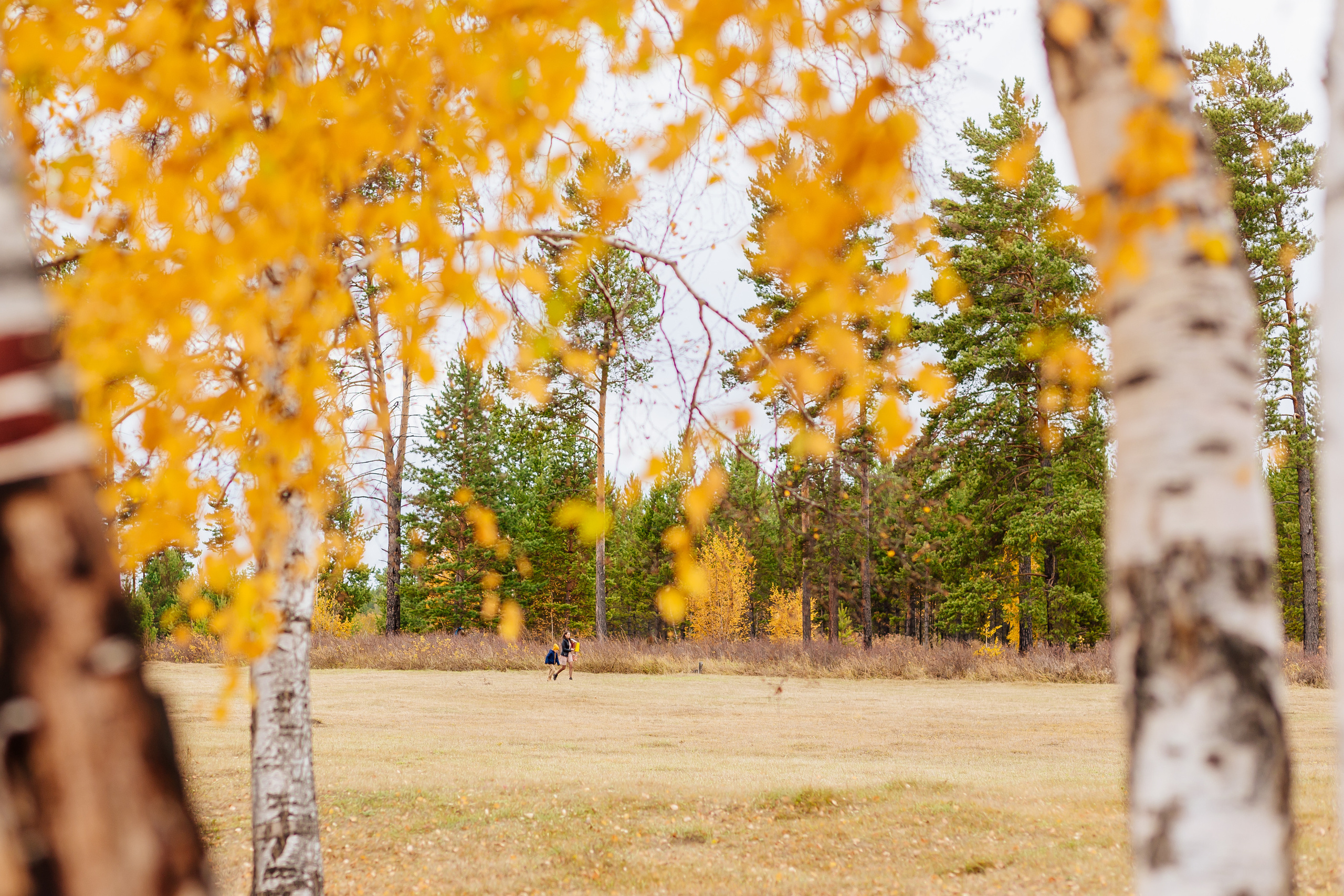 Семья Гунгер. Фотограф Бурятии София Андриянова
