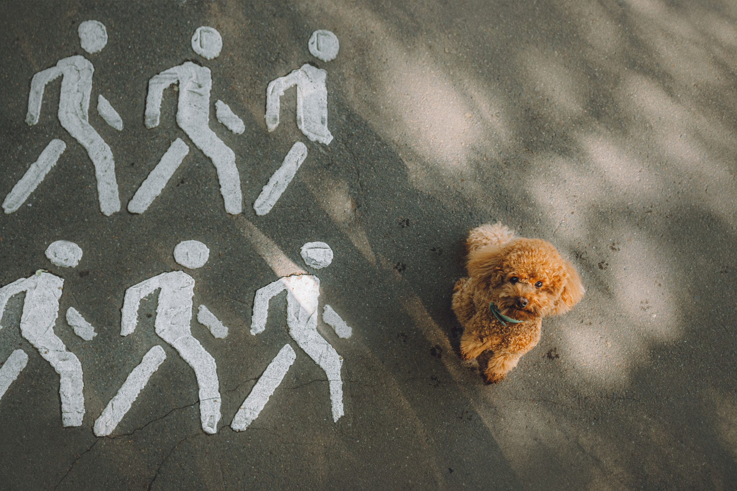 Марья и Буба