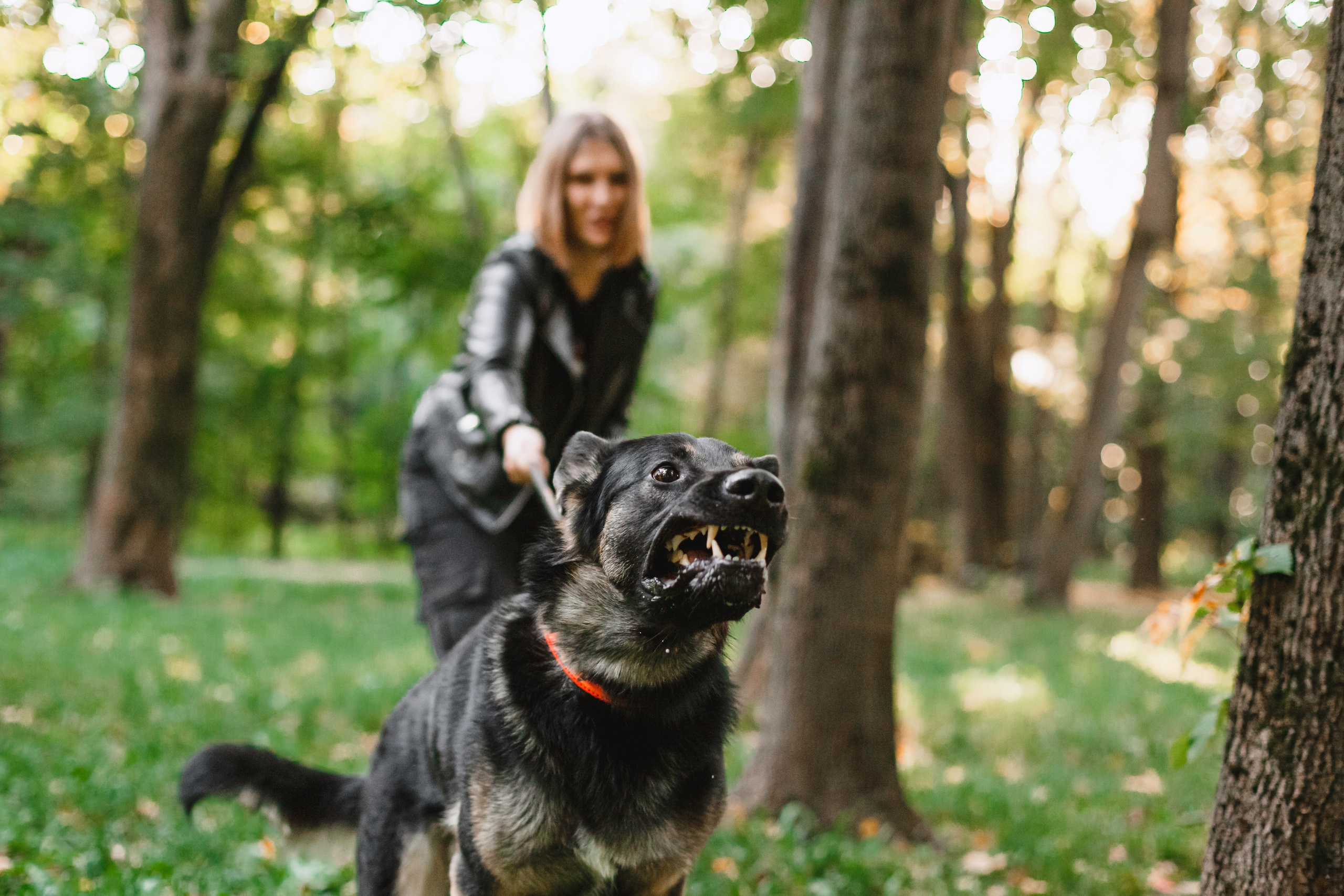Илай. Фотограф-анималист Татьяна Степанова