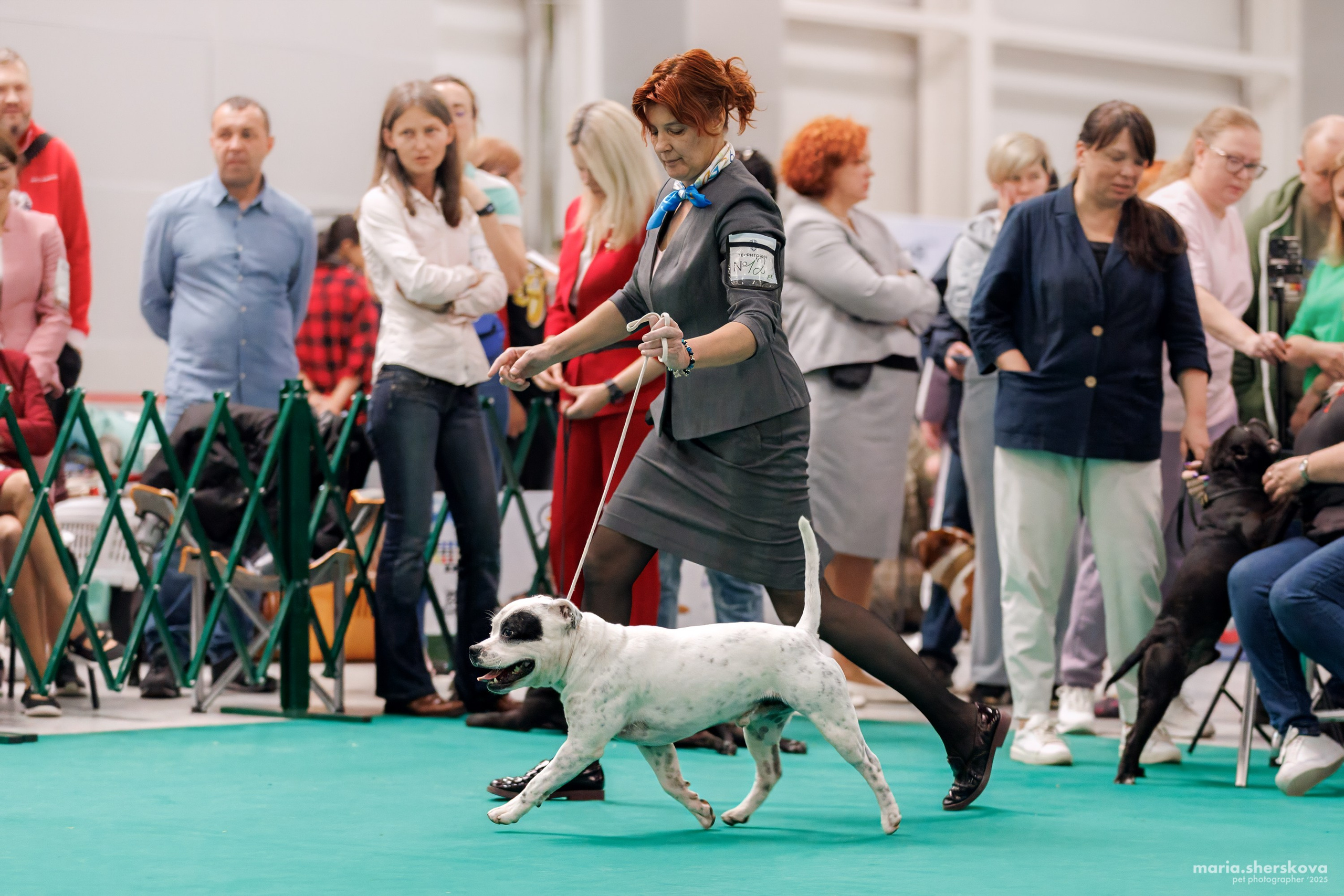 Выставки. Фотограф-анималист в Калуге Мария Шерскова