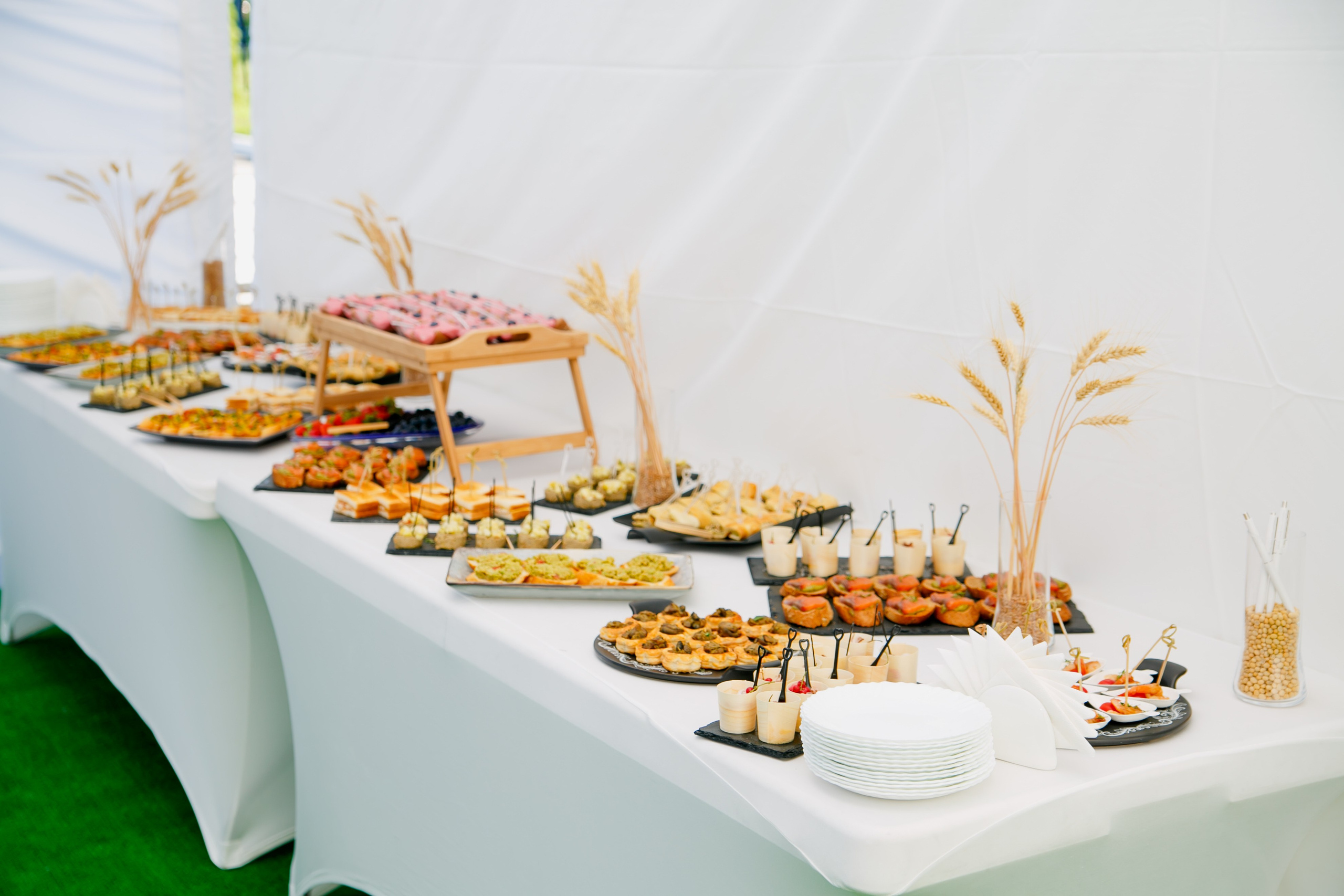 Агротерра. Фотограф Яков Поспехов