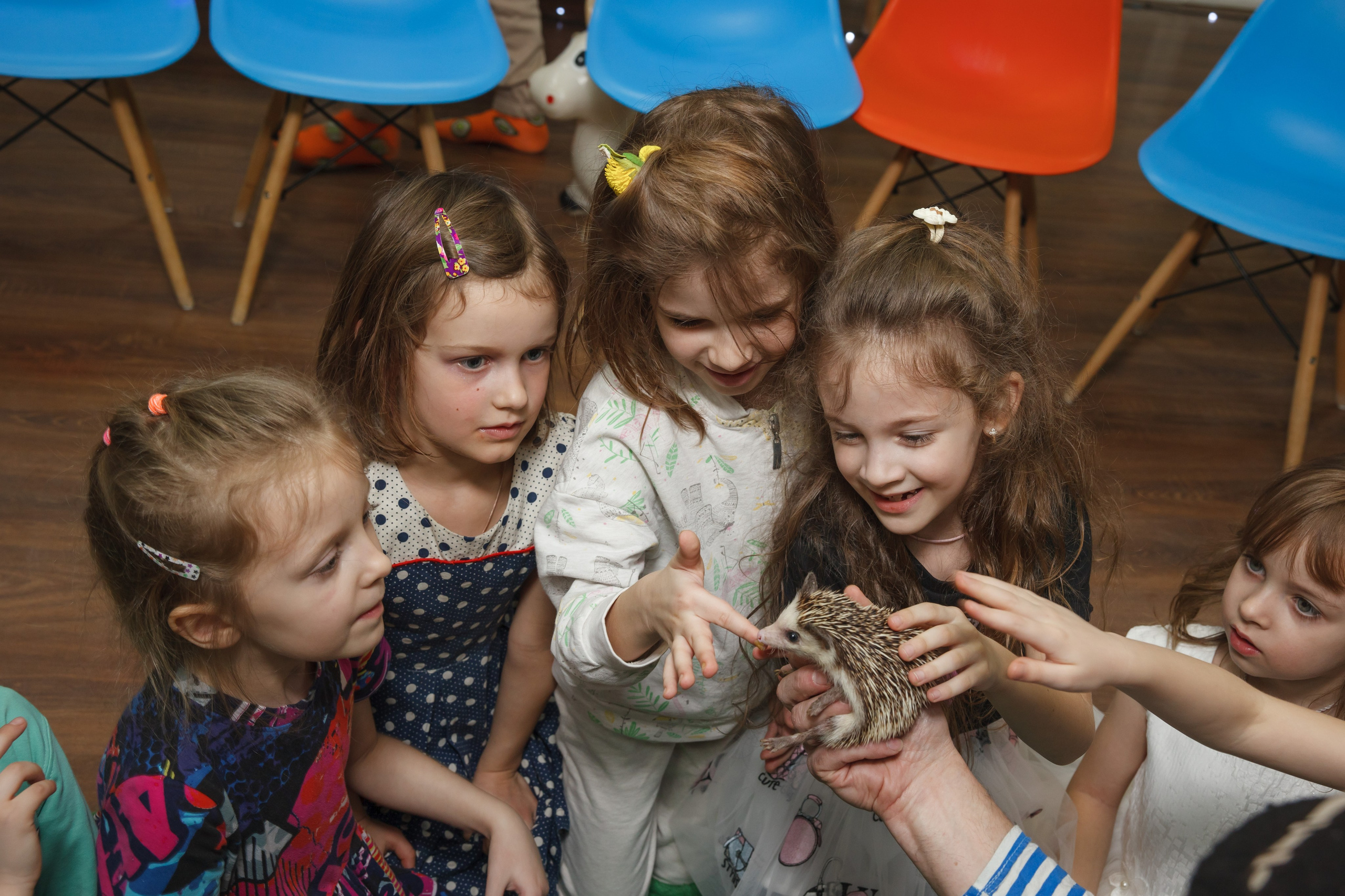 День рождения Егора, 6 лет, «Мультяшка». Свадебный и репортажный фотограф (Москва, Королев и другие)