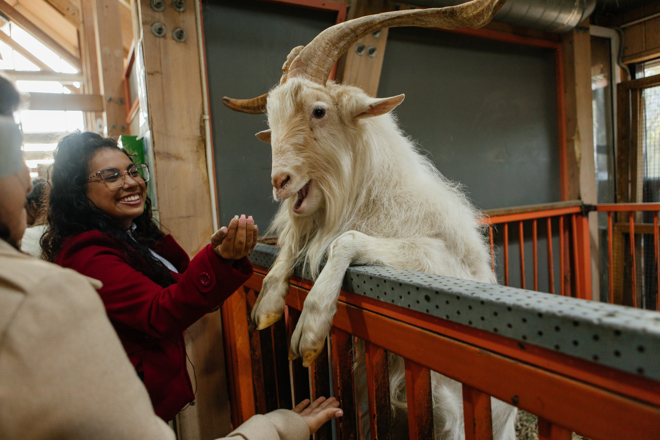 Российско-Венесуэльский молодежный форум |Москва-Спб 2023. Репортажная фотосъемка мероприятий в Москве — Five Media