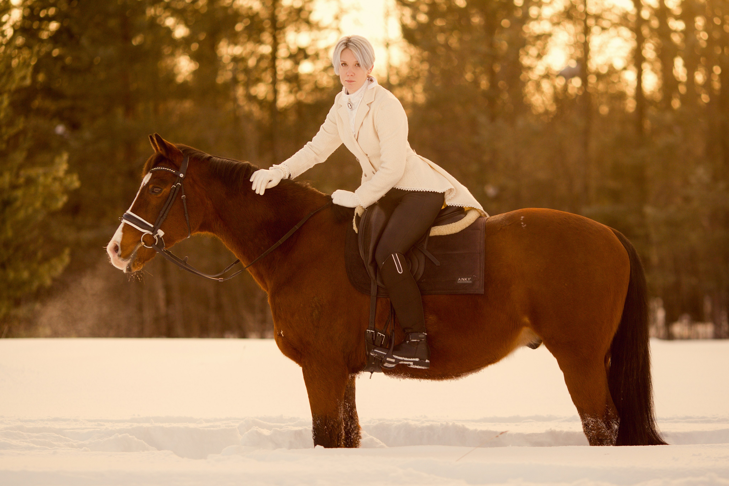 Фотосессия с лошадью зимой на фоне ёлок