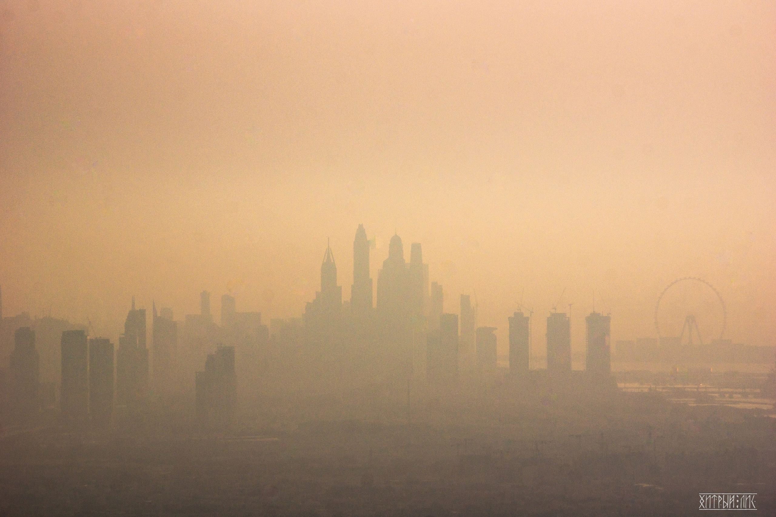 ОАЭ. Фотограф-путешественник Самойлов Максим «Sly Fox»