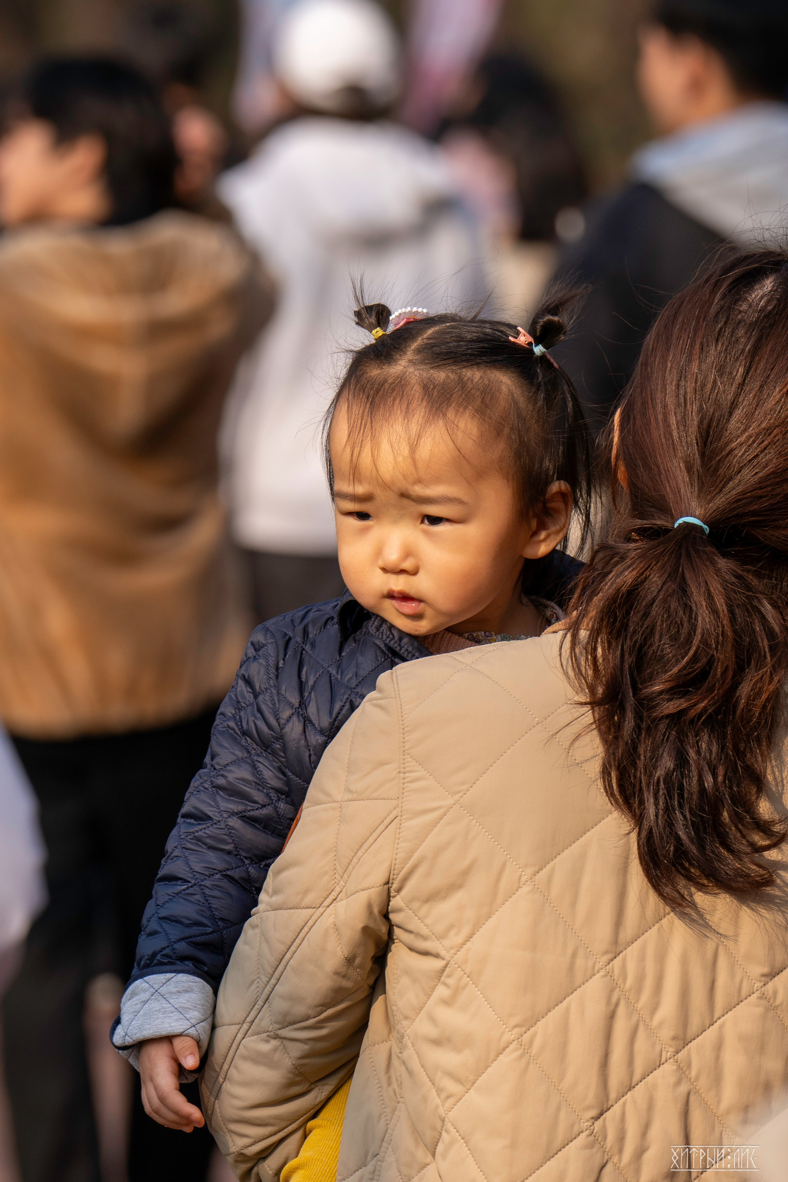 Южная Корея. Фотограф-путешественник Самойлов Максим «Sly Fox»