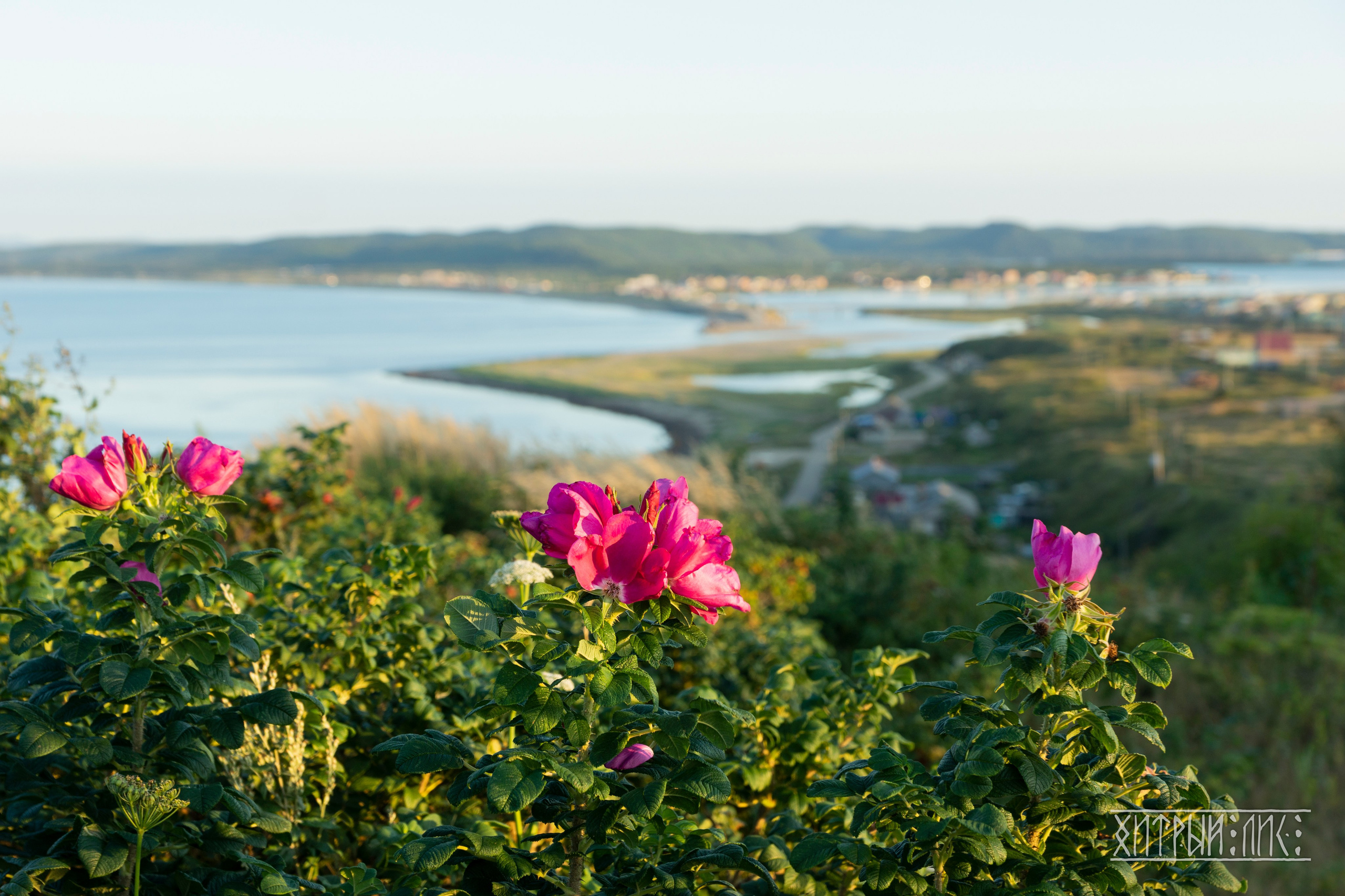Сахалин. Фотограф-путешественник Самойлов Максим «Sly Fox»