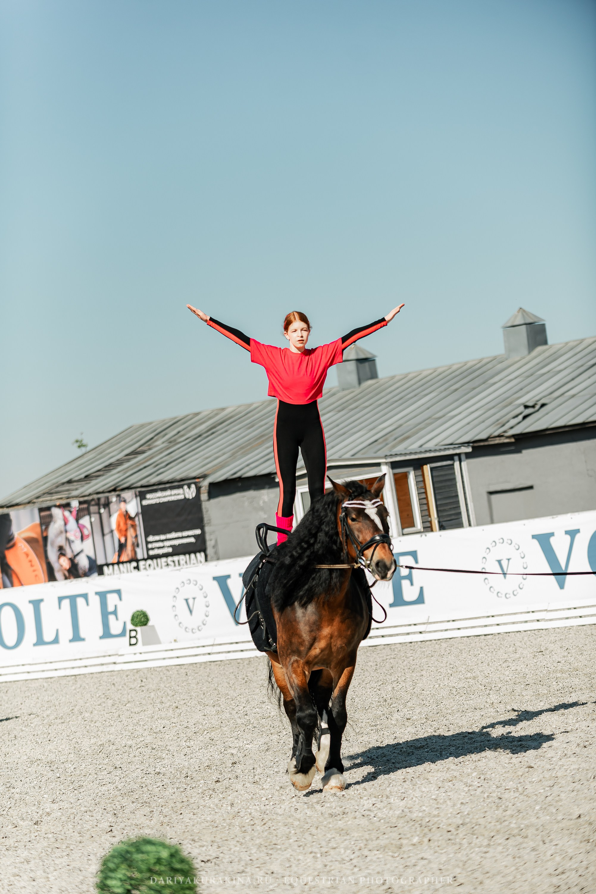 РЕПОРТАЖ МКК ВОЛЬТ «LA TULIPS». Конный фотограф Куракина Дарья • Фотосессии с лошадьми