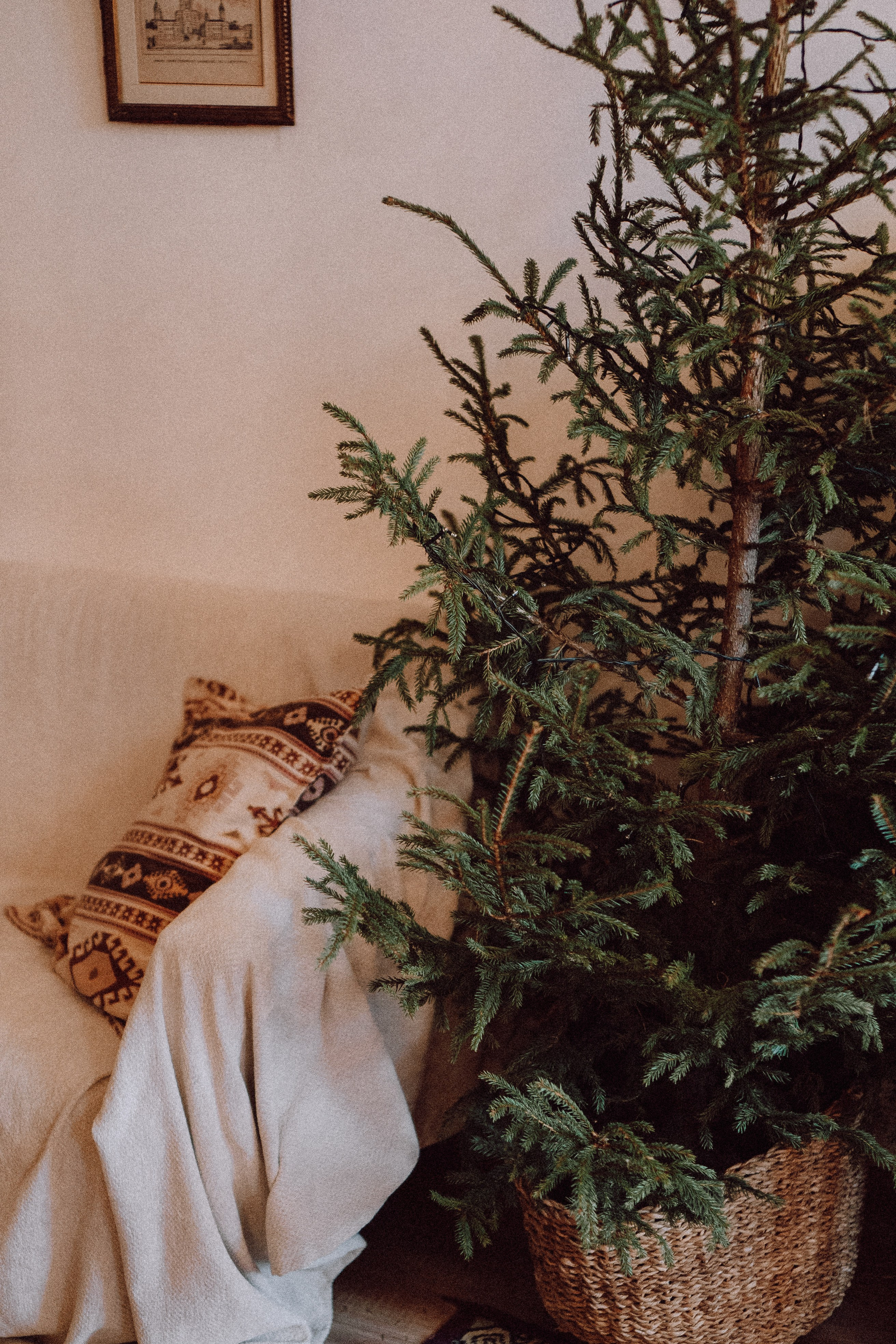 Новогодний стиль вдвоем. Профессиональный фотограф, Санкт-Петербург — Виктория Богомолова