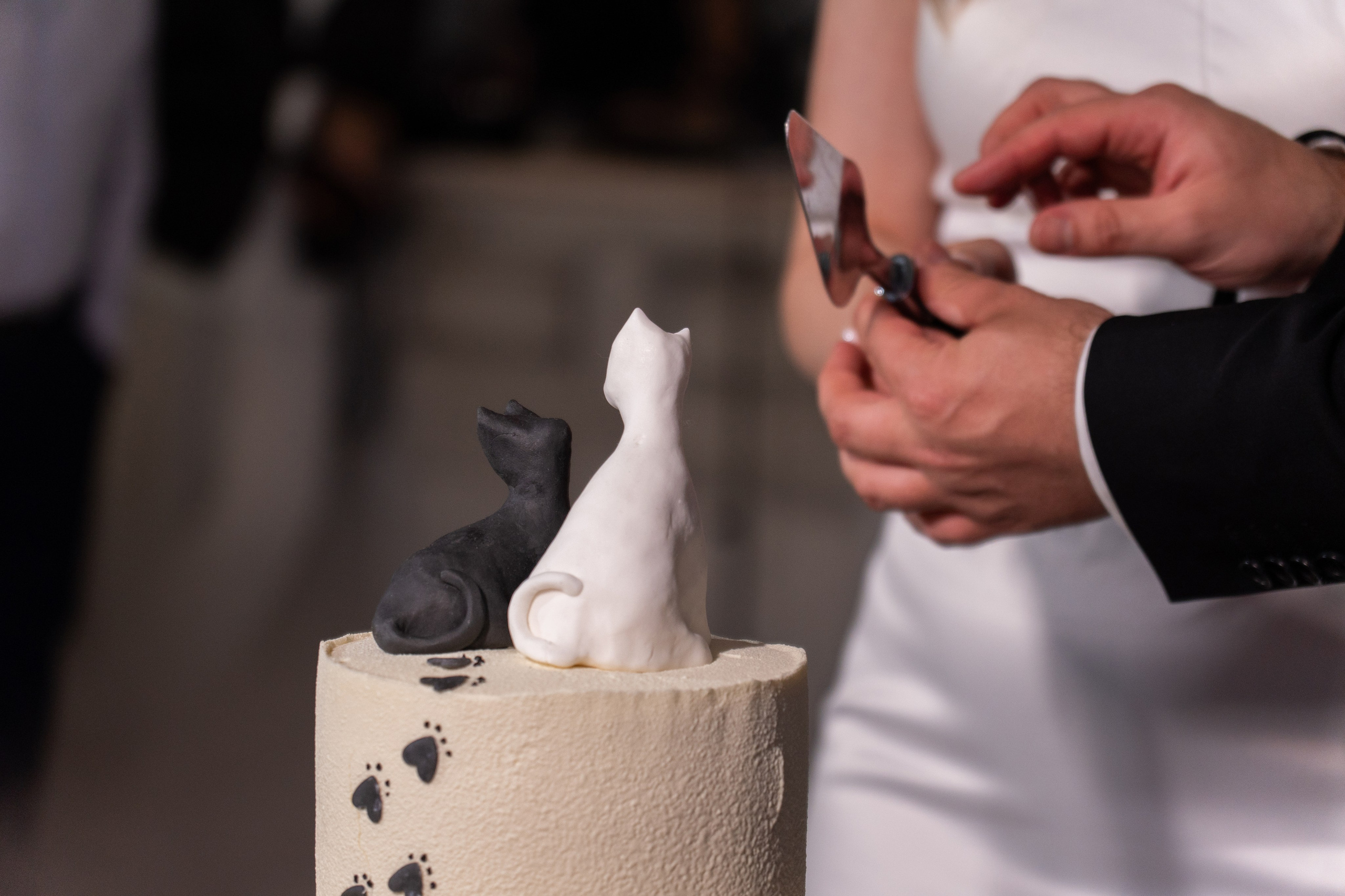 Свадьба Стаси и Андрея. Фото и видео съёмка в Москве и МО Александр Чапала и Трояк Алеся