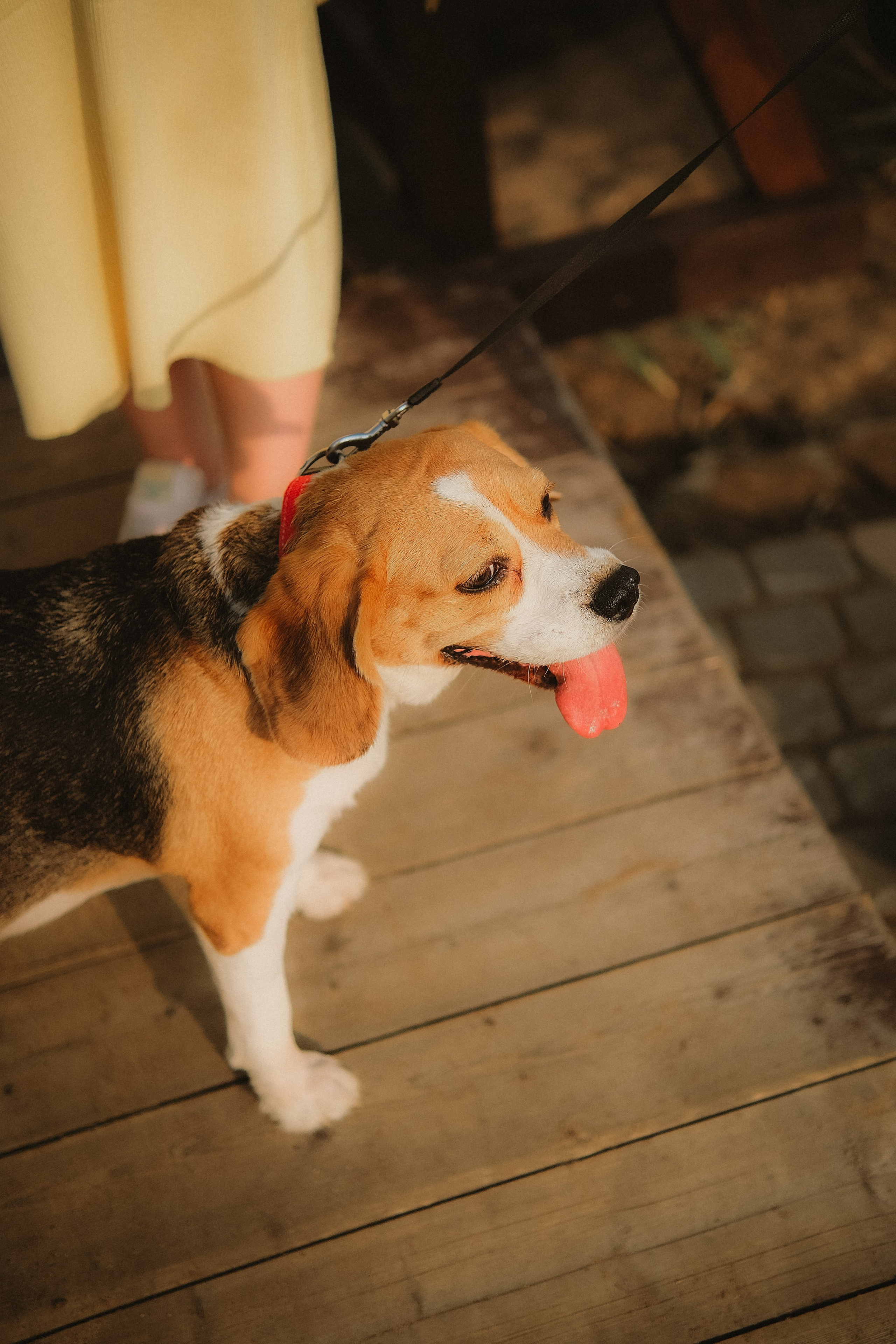 Алина & Максим. Phdkvmr.ru