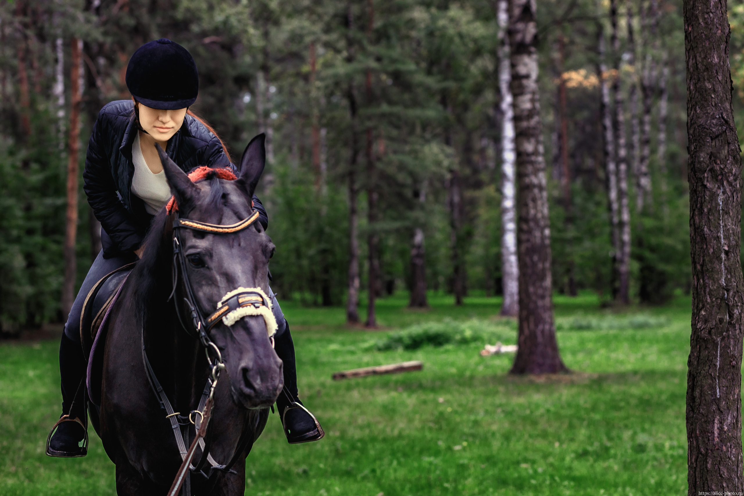Liu Lei. Семейный фотограф в Санкт-Петербурге, Портретист, Алиса Фотограф