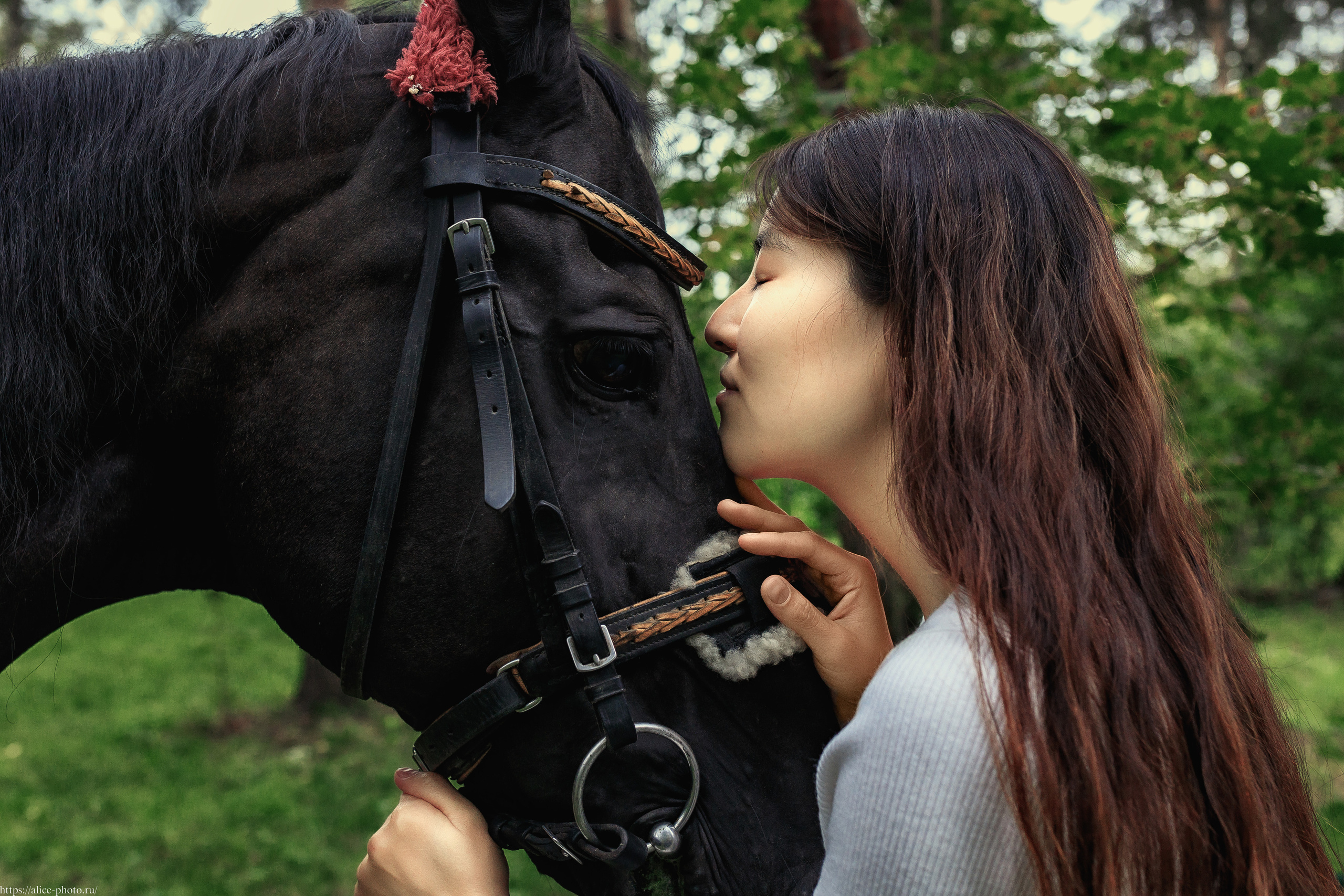 Liu Lei. Семейный фотограф в Санкт-Петербурге, Портретист, Алиса Фотограф