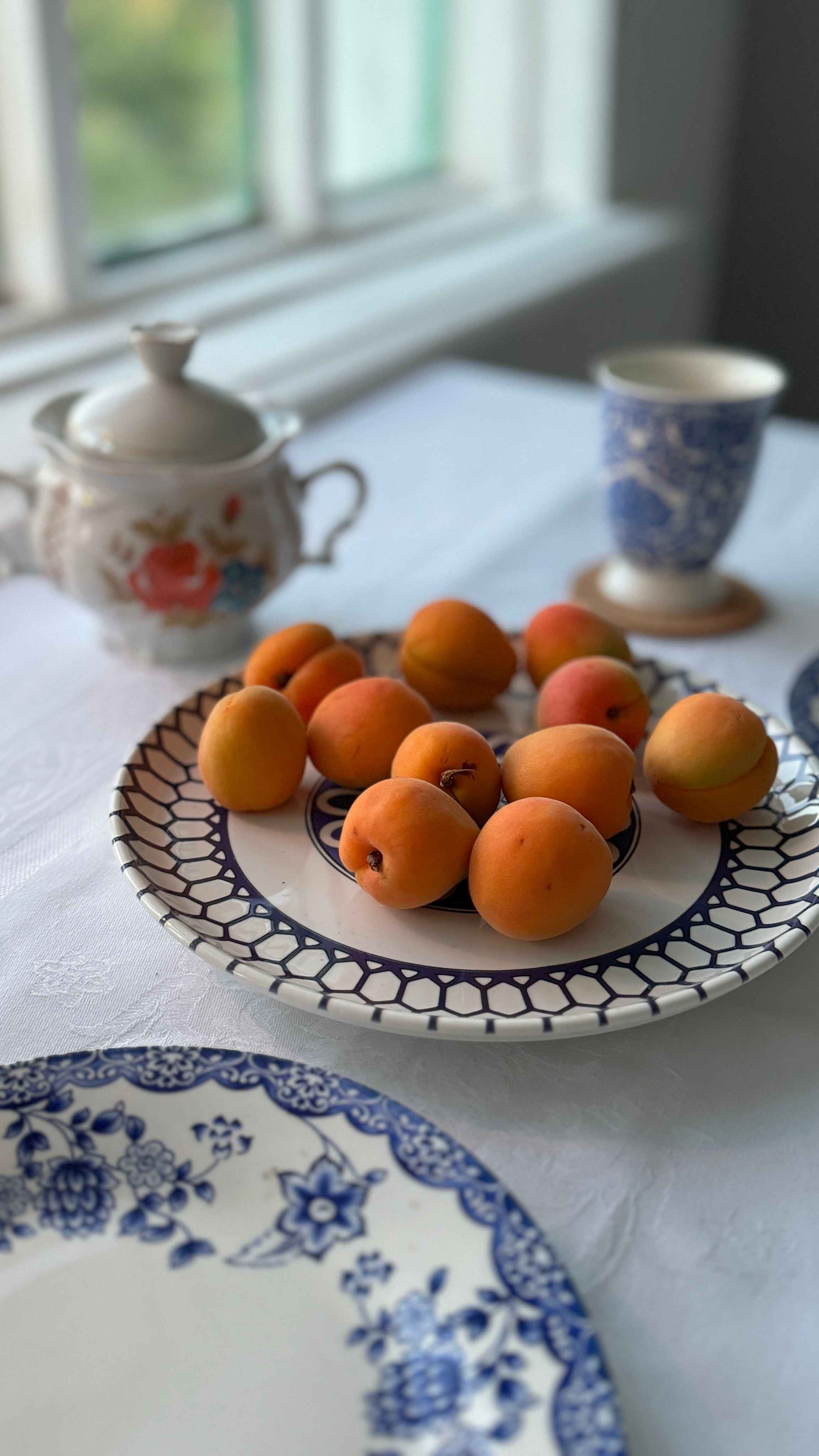 Домик. Фотостудия Натальи Забродской