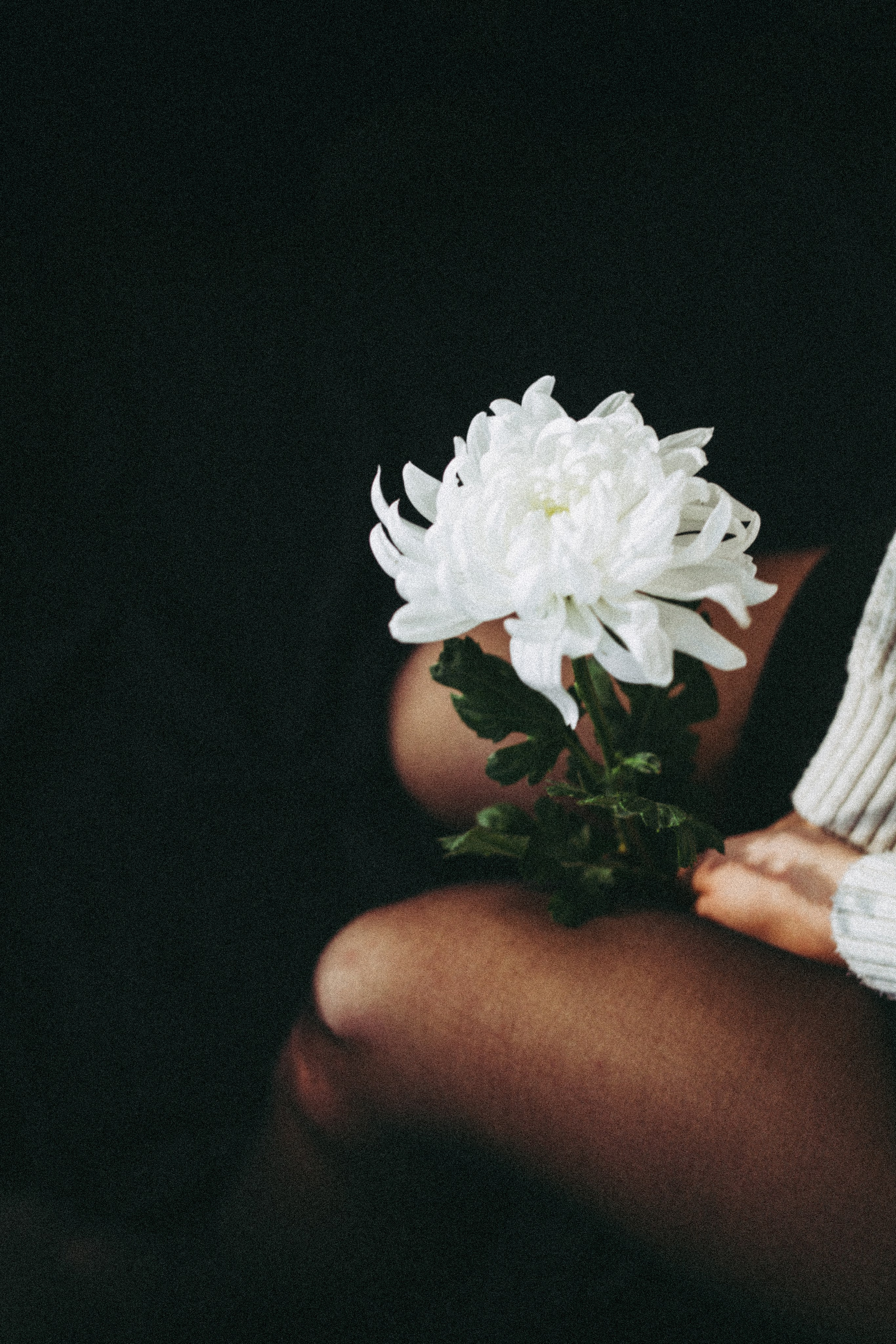 Марьяна. Семейный фотограф в Краснодаре