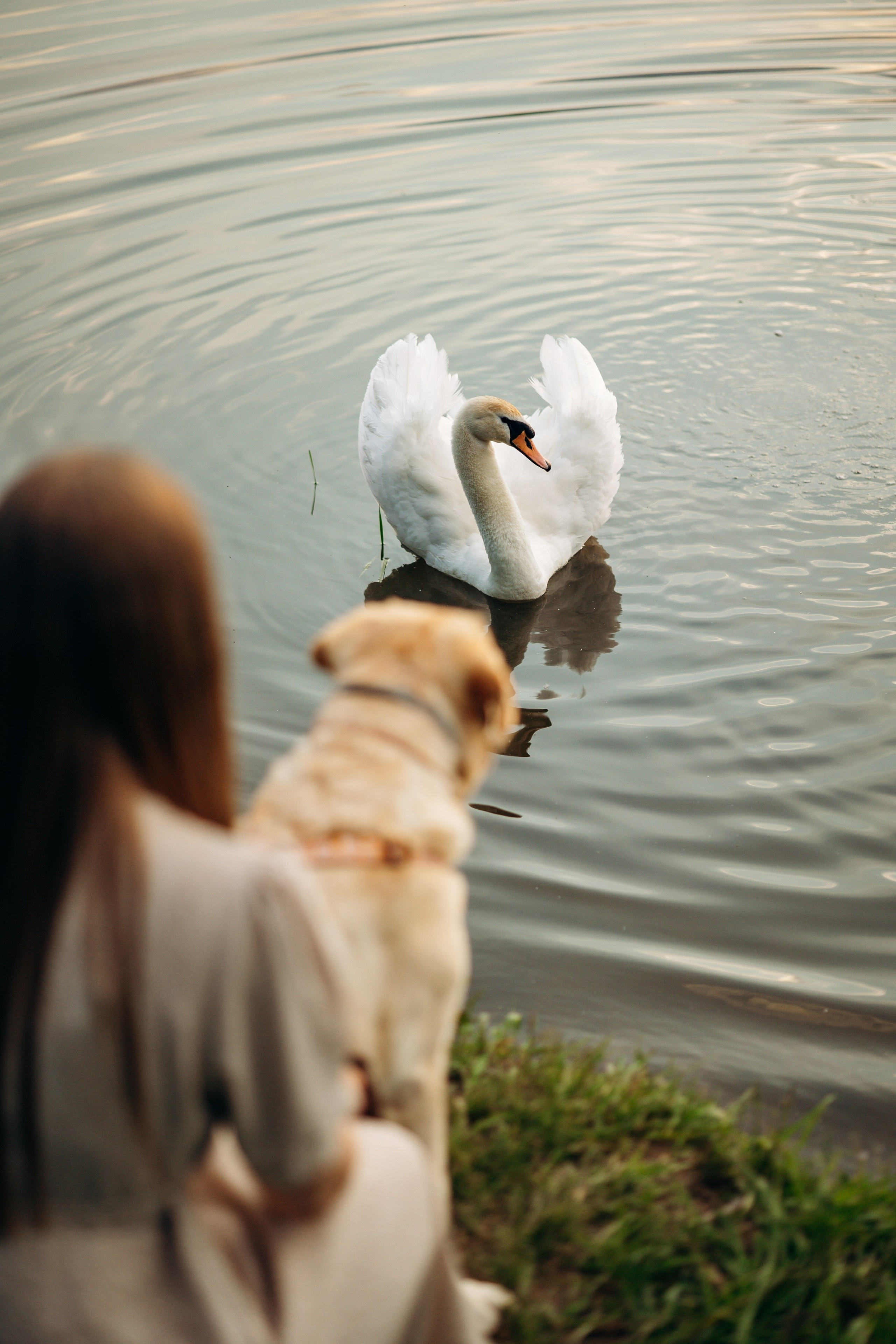 Шани и ее семья. Фотограф — Анималист | Санкт-Петербург
