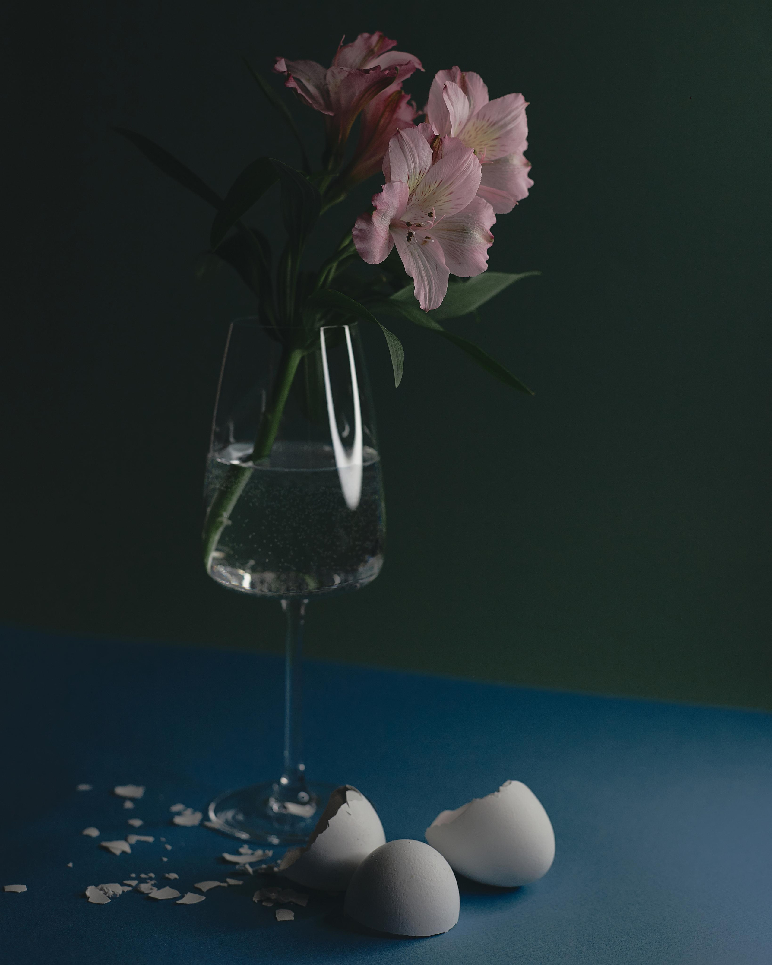 Still life. Визуальный продюсер и фотограф Екатерина Калинина. Город Челябинск