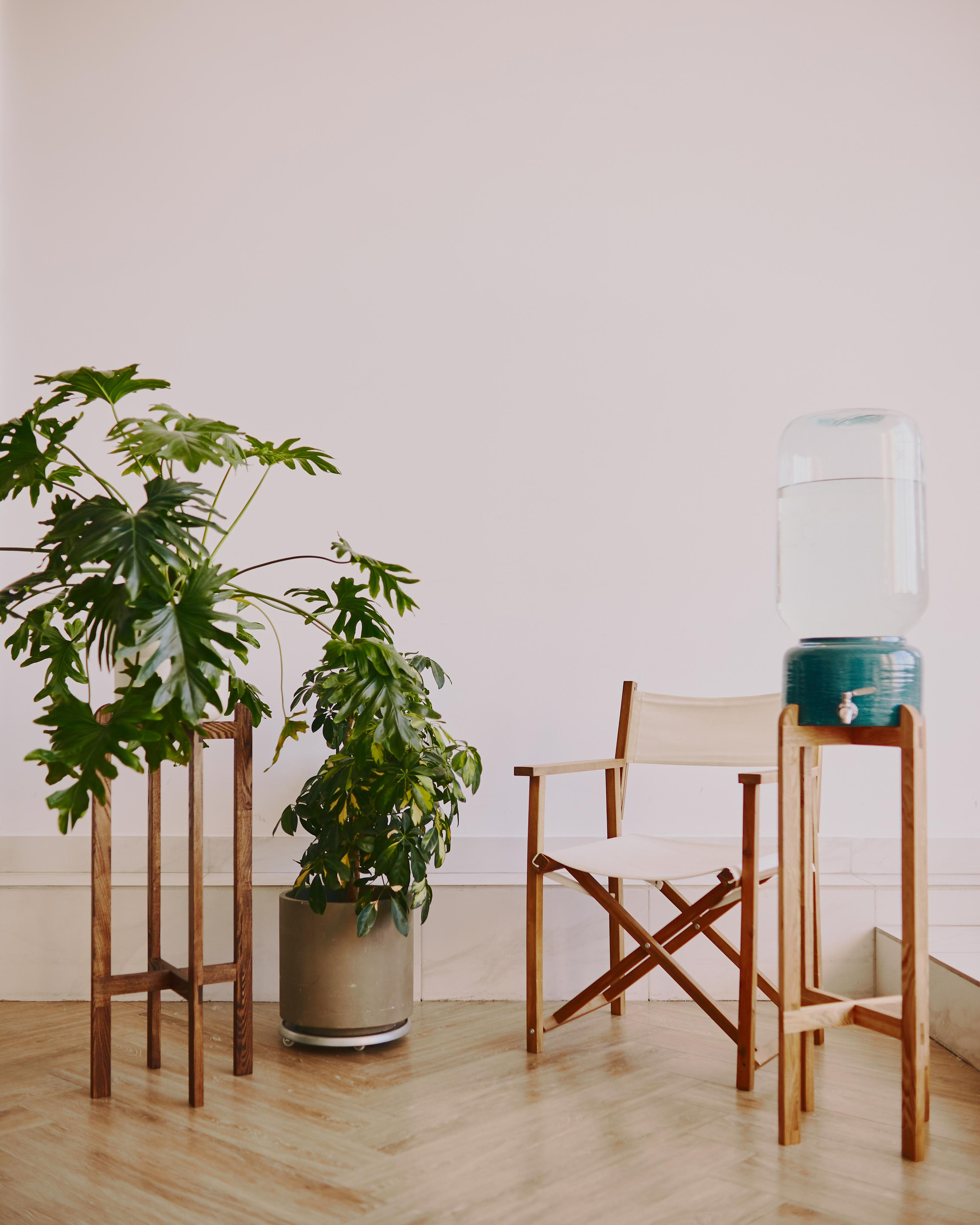 Ents&Elves. Визуальный продюсер и фотограф Екатерина Калинина. Город Челябинск