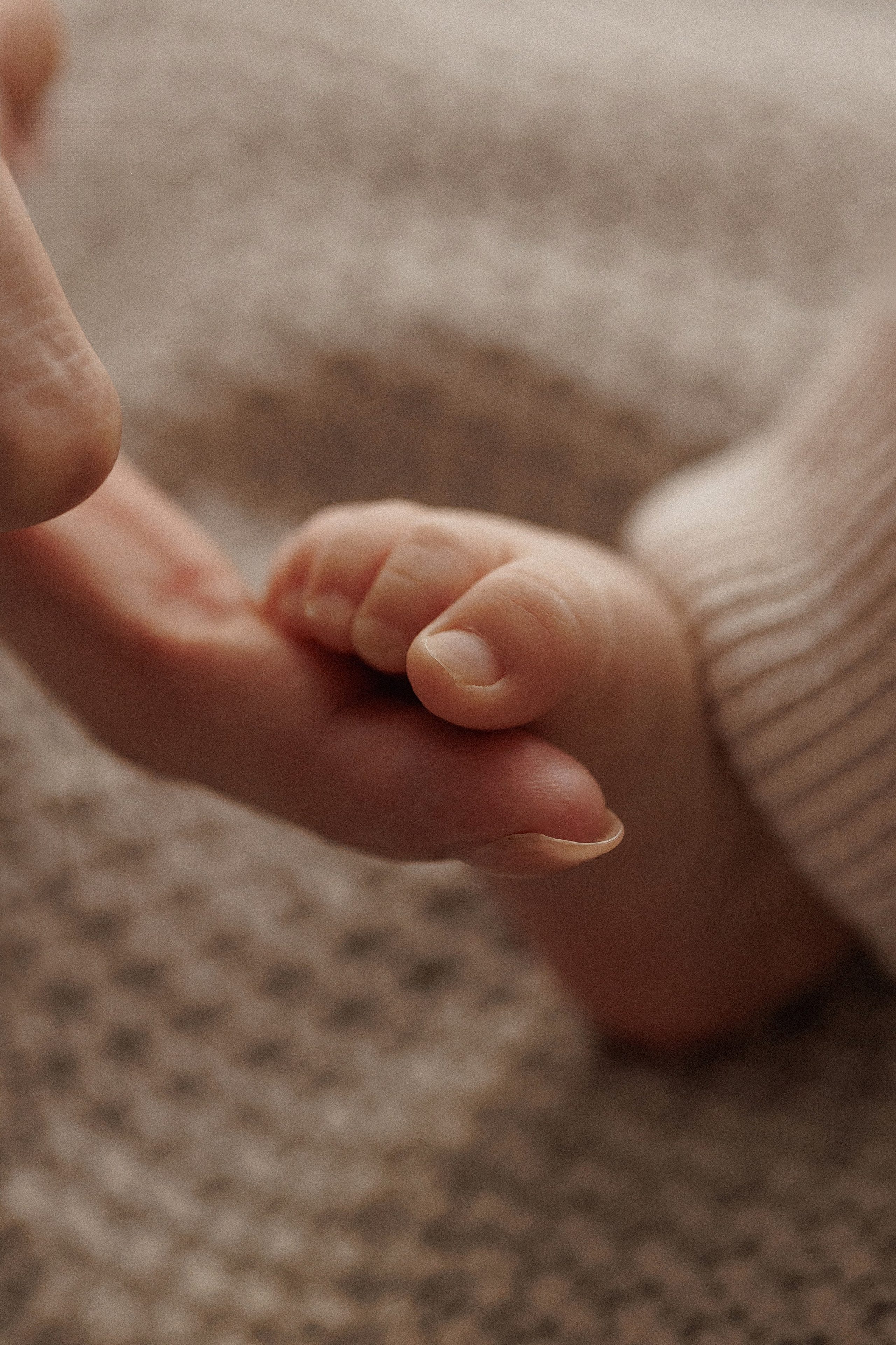 Новорожденные. Фотограф новорожденных в Сочи Екатерина Вялова