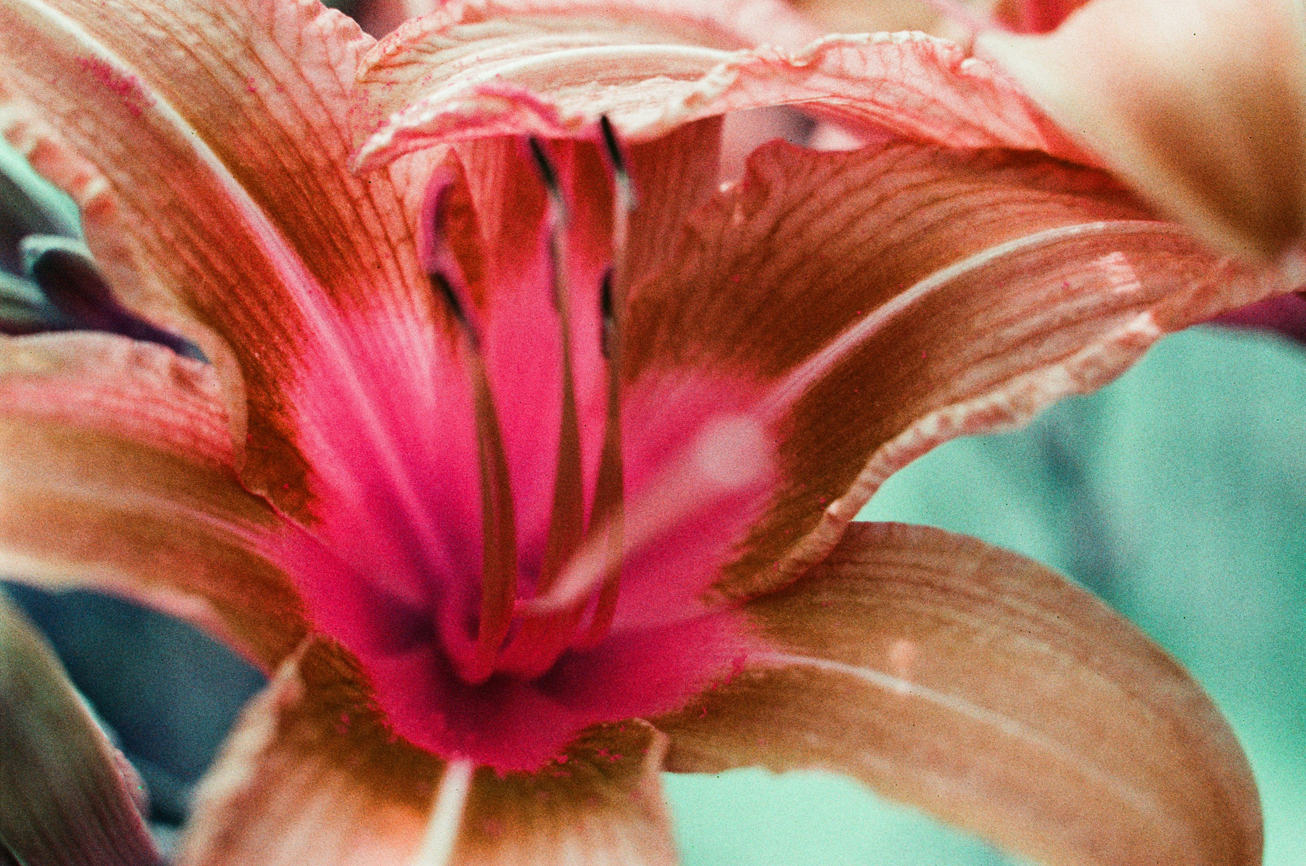 Point of no reply // ukraine, crimea IV. EVER EXPOSED