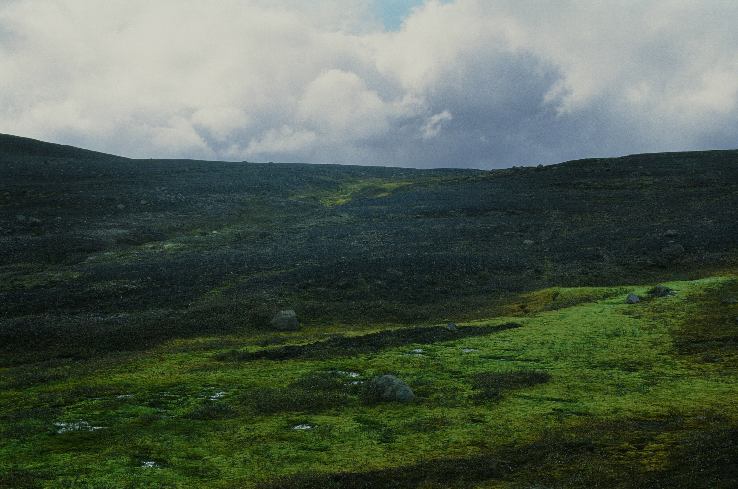 Bloodline // iceland, f907. EVER EXPOSED