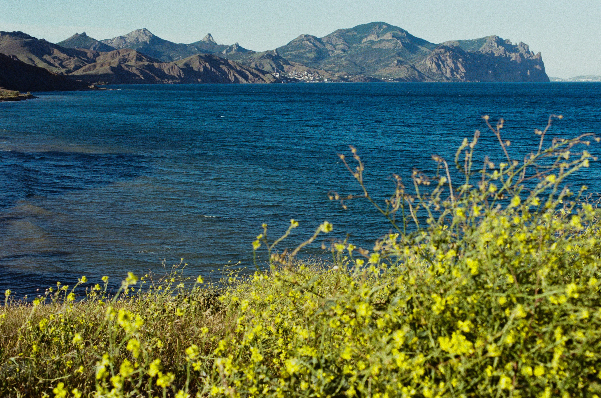 Kool-aid // ukraine, crimea VI. EVER EXPOSED