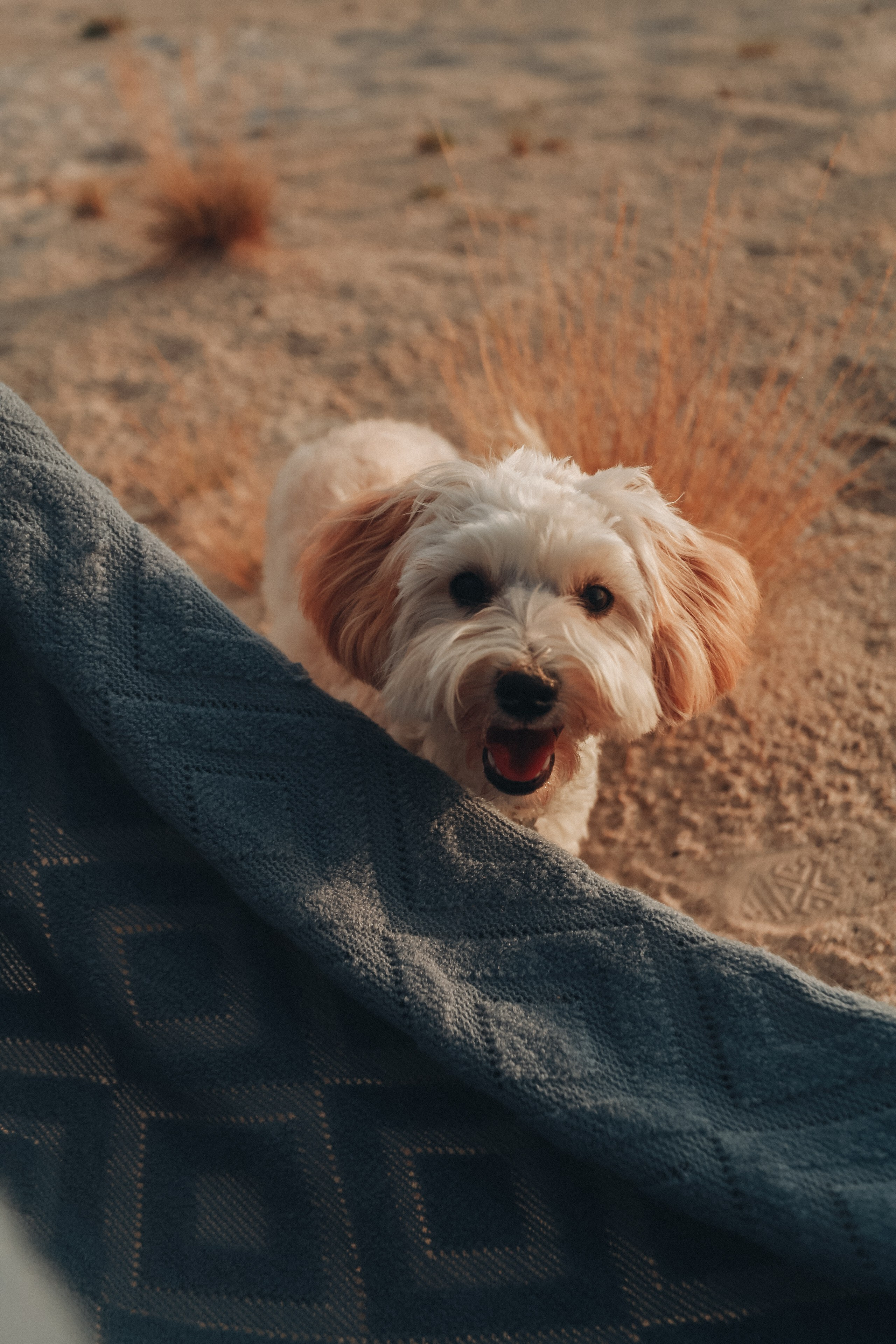 Пикник мамы Жени, Артема и Ксюши. Детский фотограф, Волгоград
