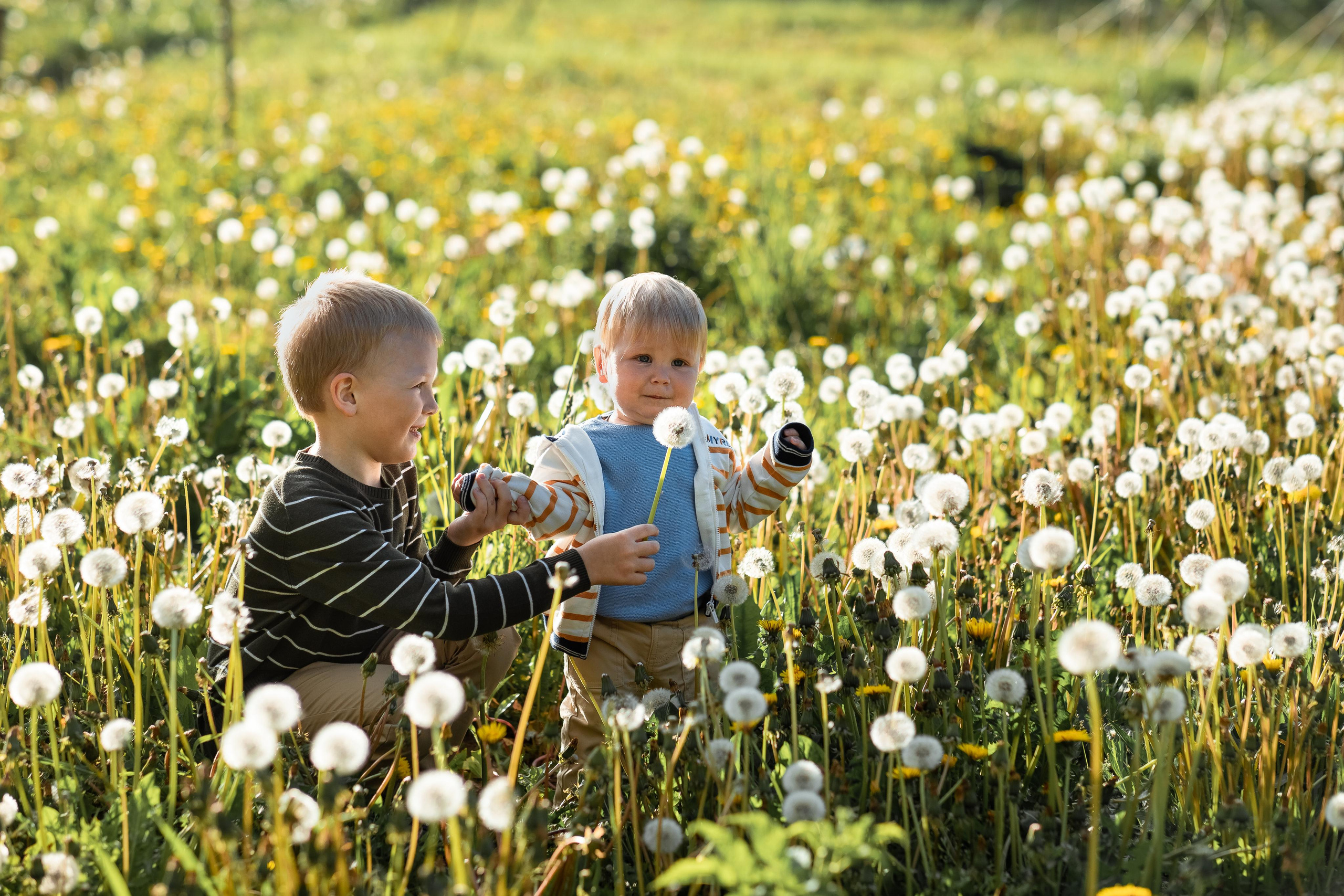 Фотопрогулка в Ясной Поляне для семьи Максима и Анастасии. Женский семейный фотограф Тула Москва Захарова Анна