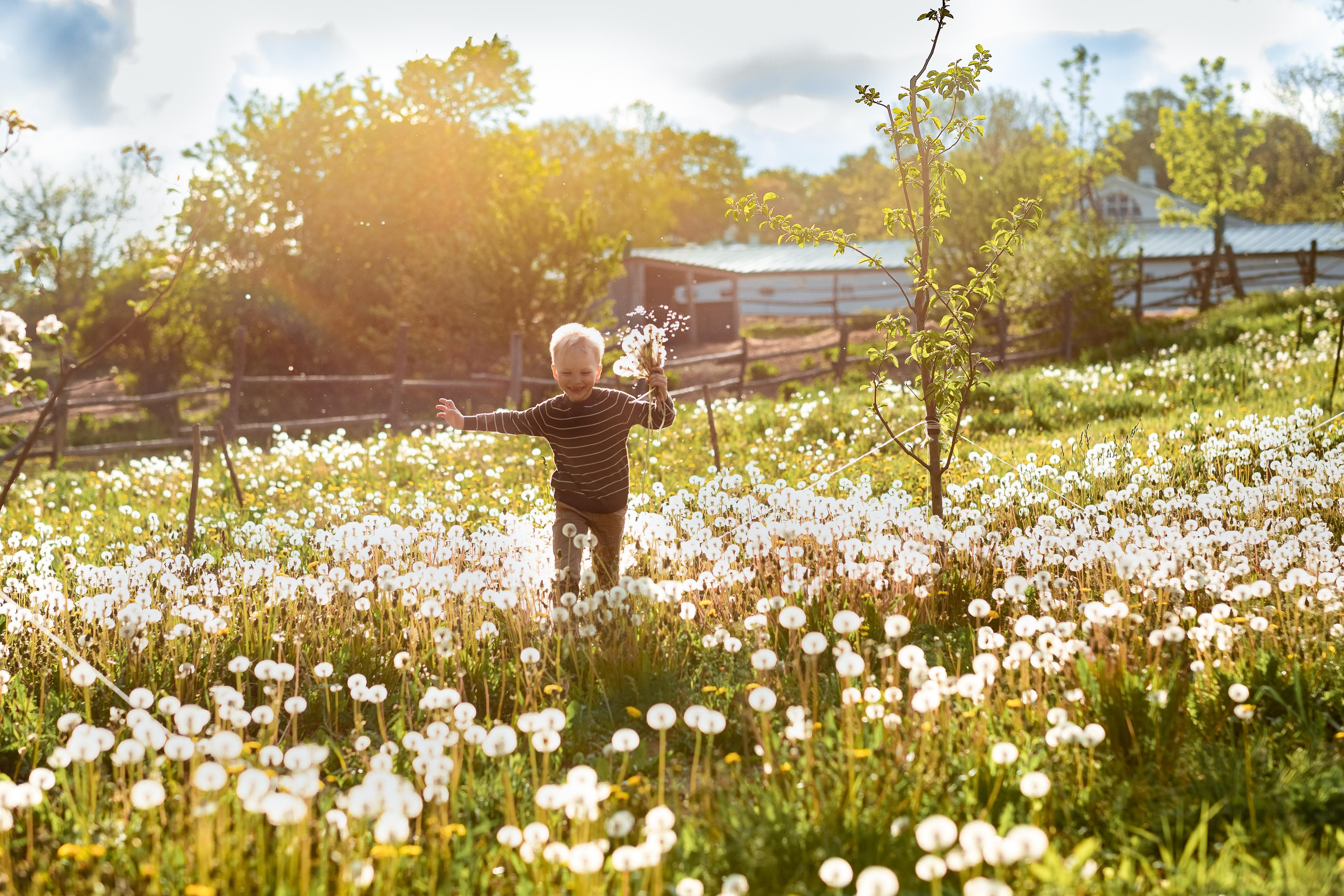 Фотопрогулка в Ясной Поляне для семьи Максима и Анастасии. Женский семейный фотограф Тула Москва Захарова Анна