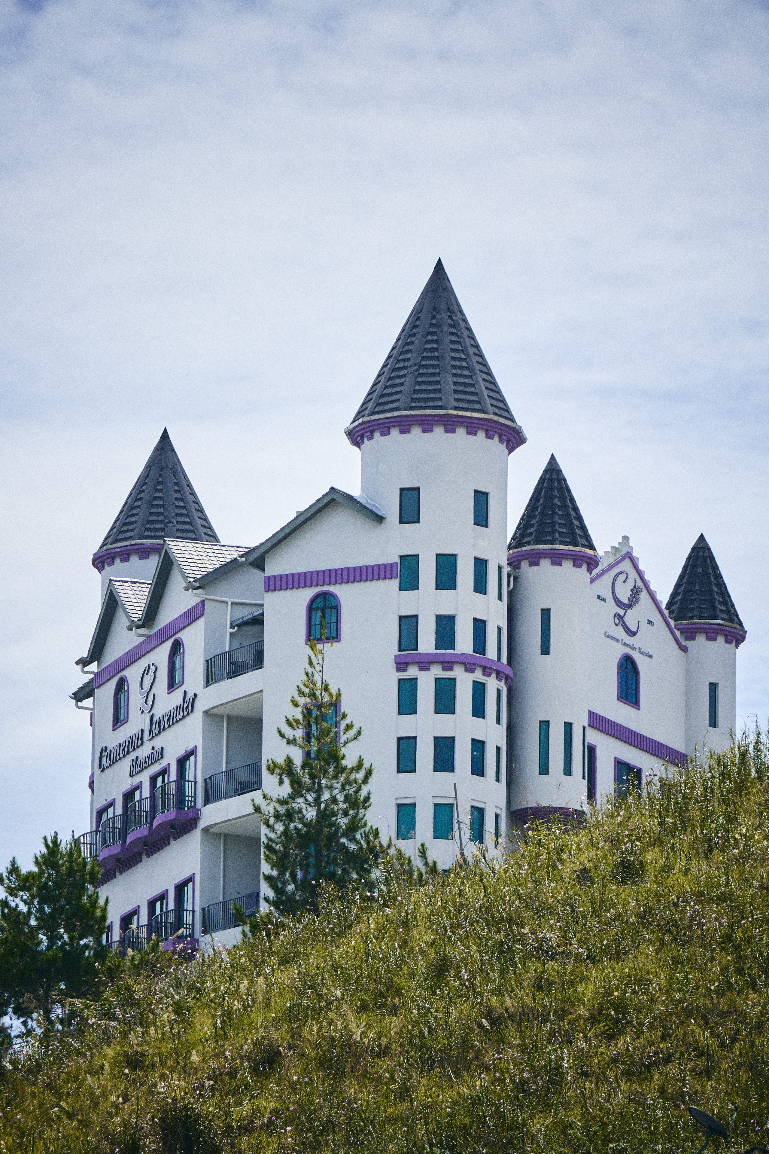 Lavender Mansion. See the moment and catche. commercial and reportage