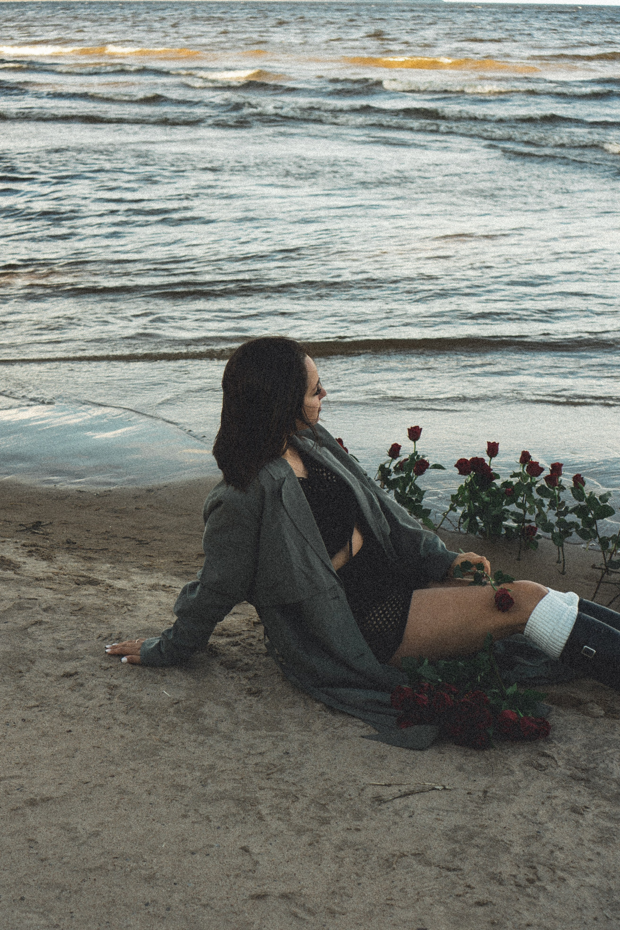 Розы. Профессиональный фотограф, Санкт-Петербург — Виктория Богомолова