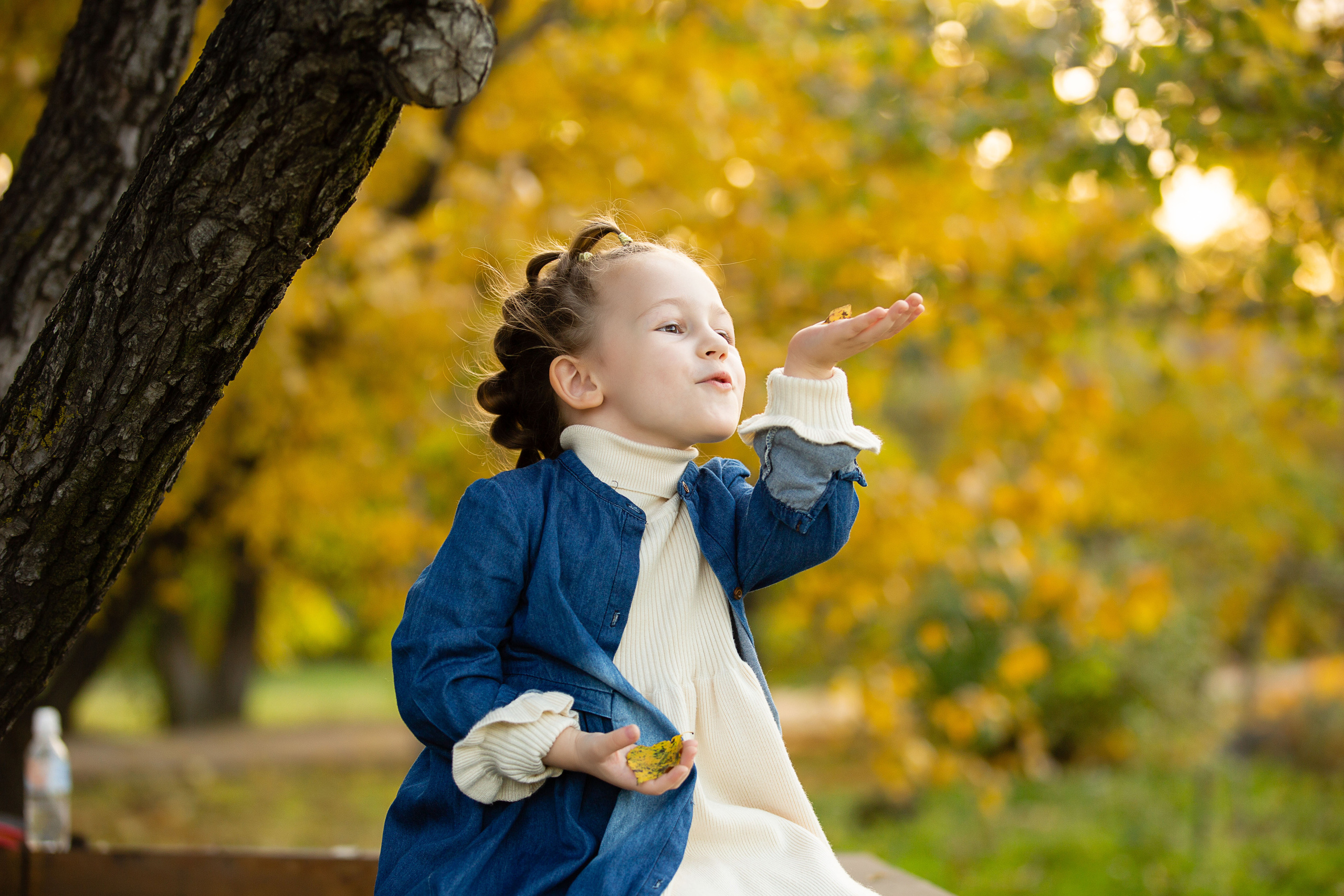 Осенняя семейная фотосессия. Семейный, детский, школьный фотограф в Благовещенске Яна Белоусова