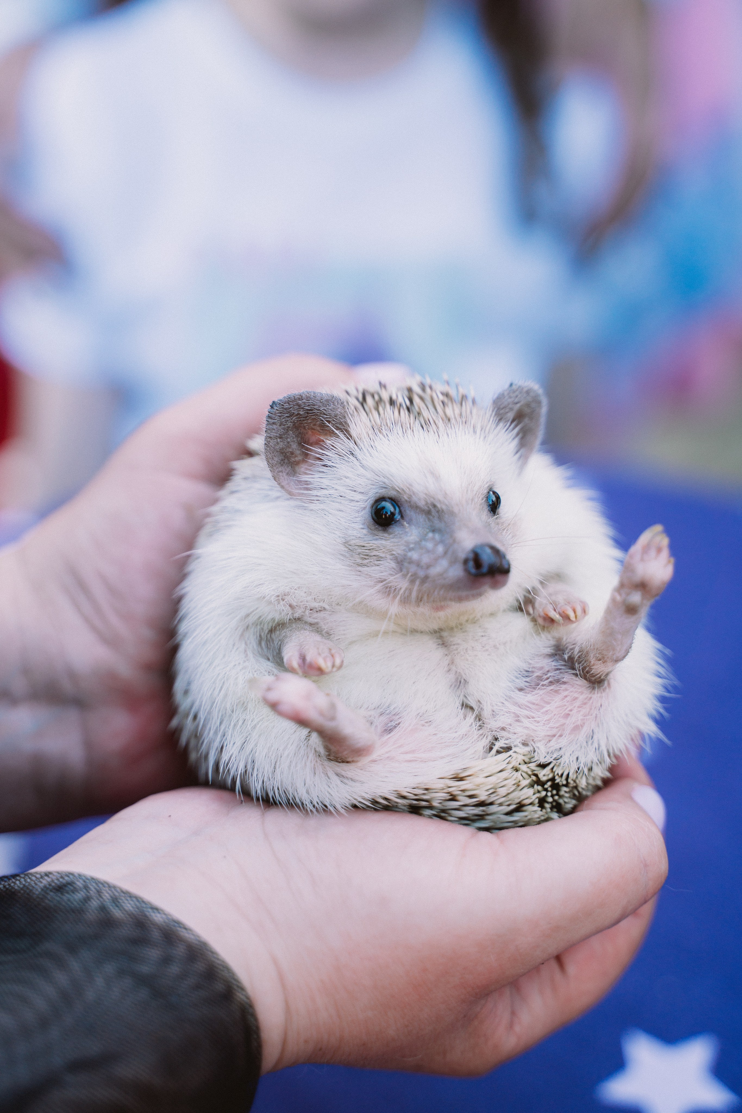 День рождения. Женский и семейный лайфстайл фотограф в Уфе Лайт Альбина