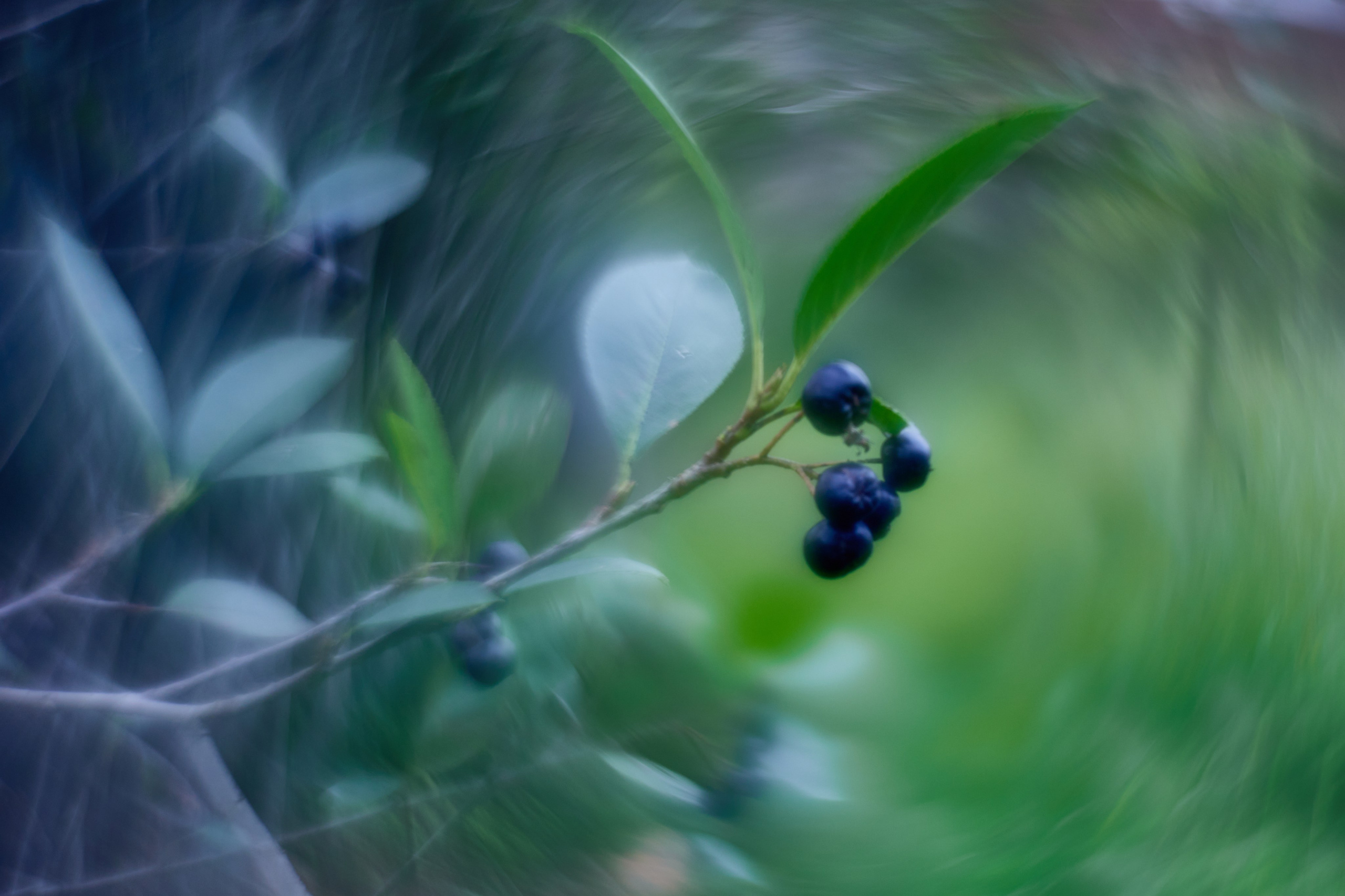 «Незримые Миры». Арт-фотограф во Владивостоке Дмитрий Осипчук