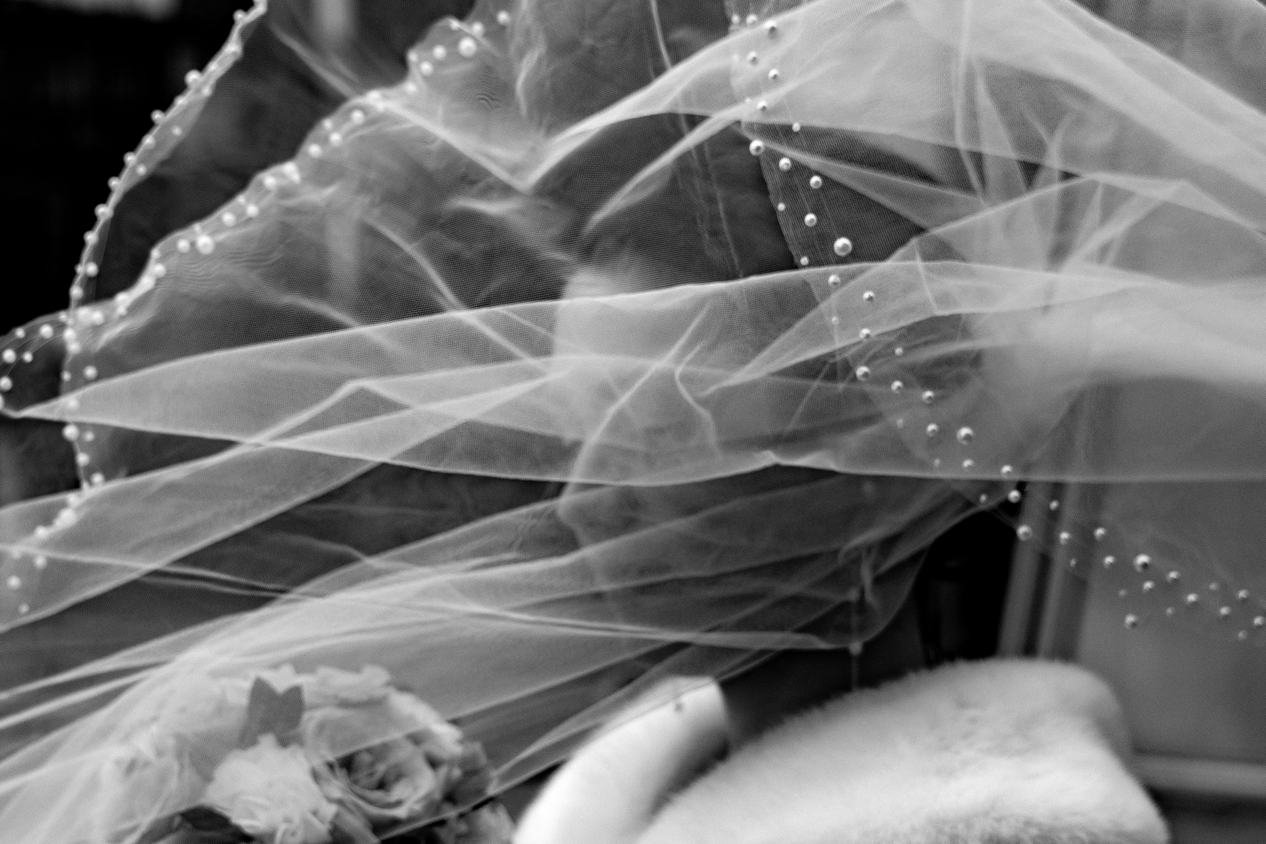 Михаил + Виктория