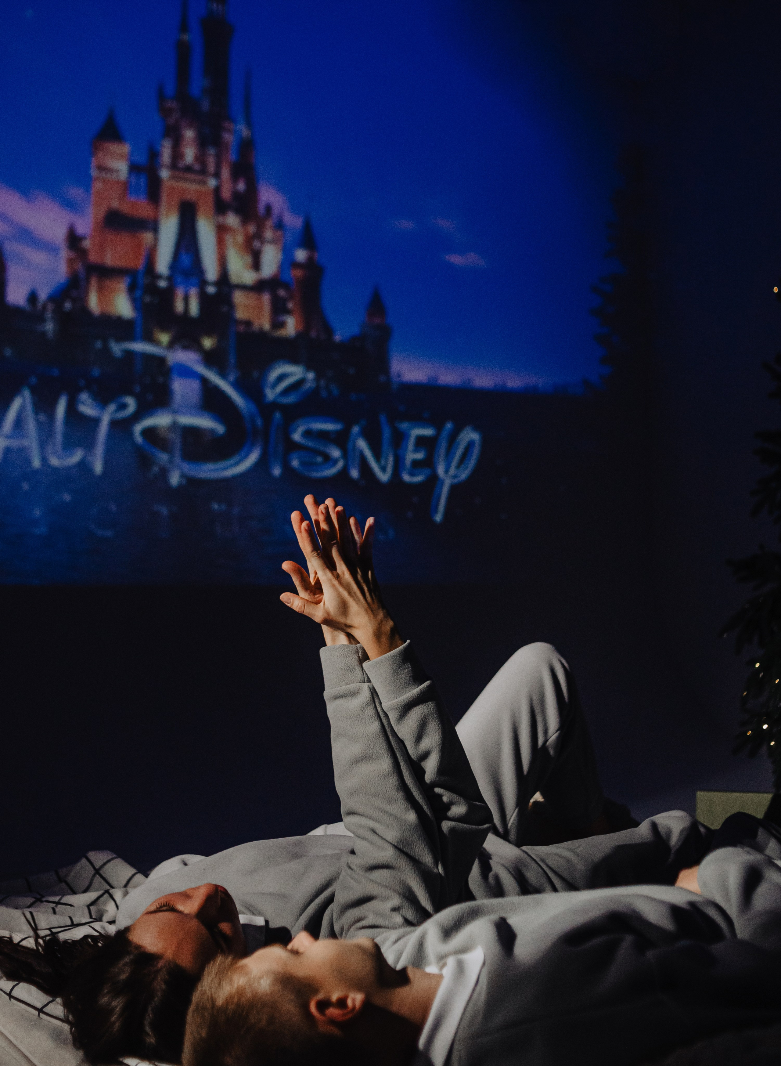 Теплая, с проектором. Фотограф Брянск