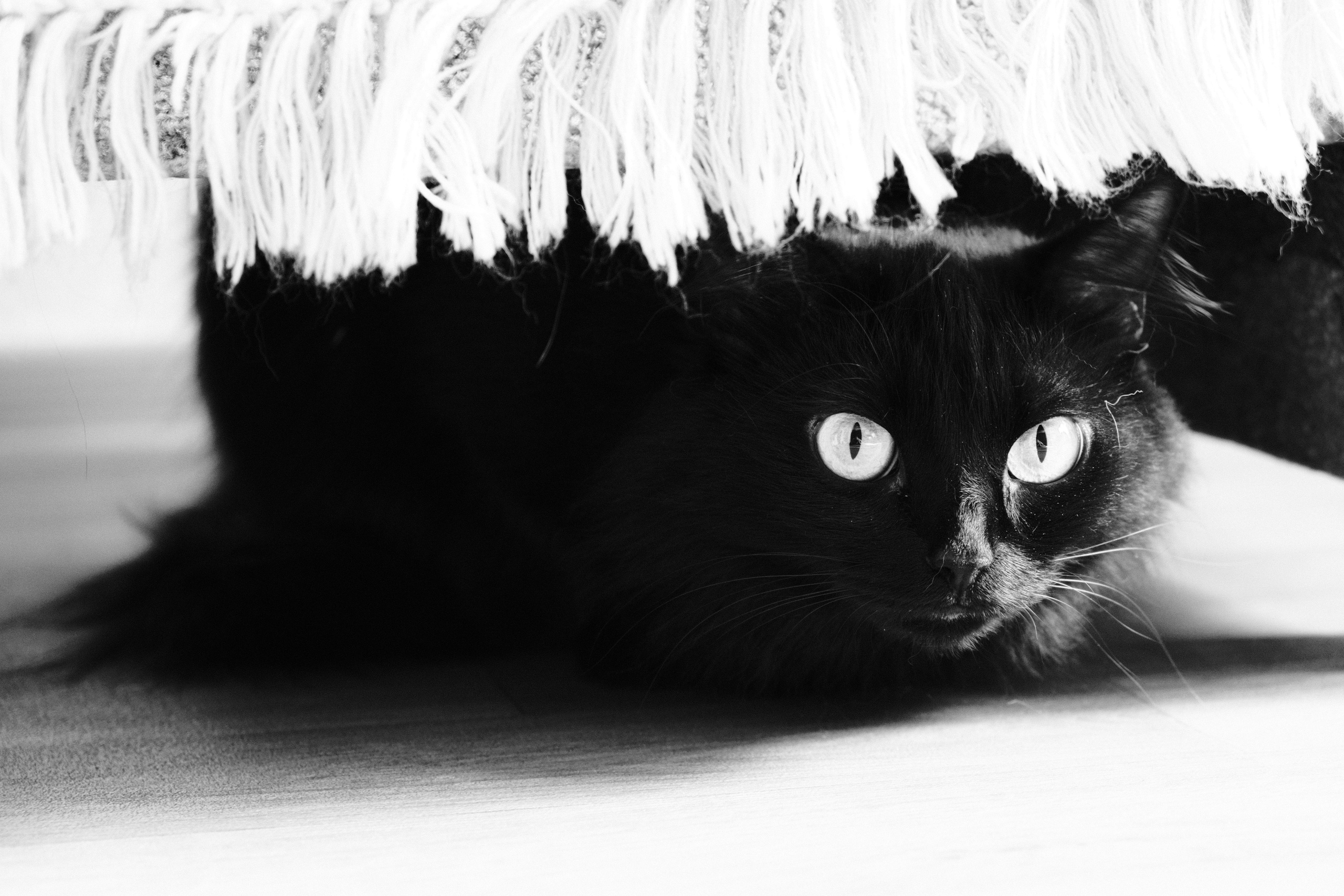 ЧБ. Фотограф-любитель из Кирова Андрей Погребняк