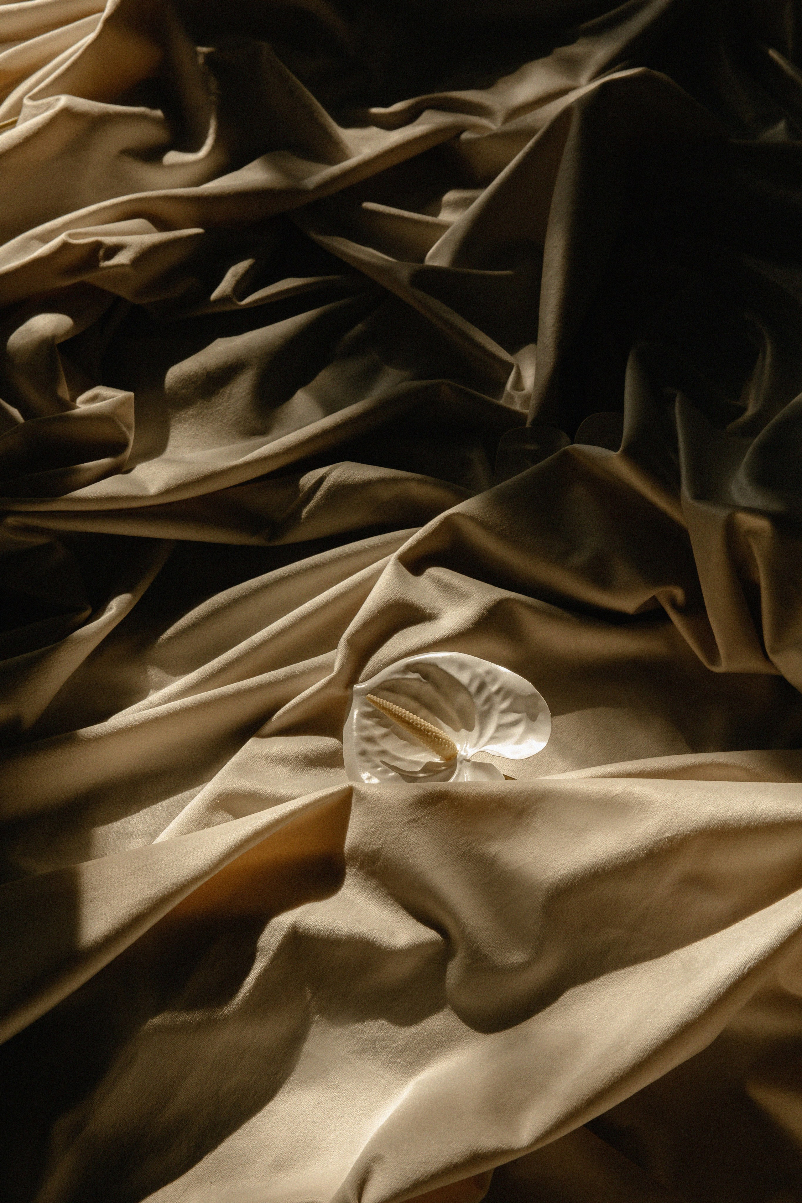 Кирилл&Анастасия. Фотограф Арина Елизарова