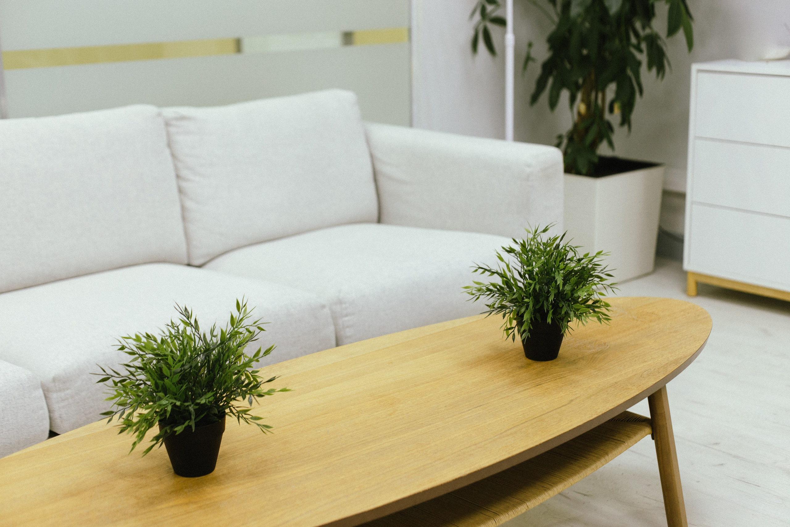 Корпоративная СП Север. Коммерческий Фотограф Виктор Фоменых