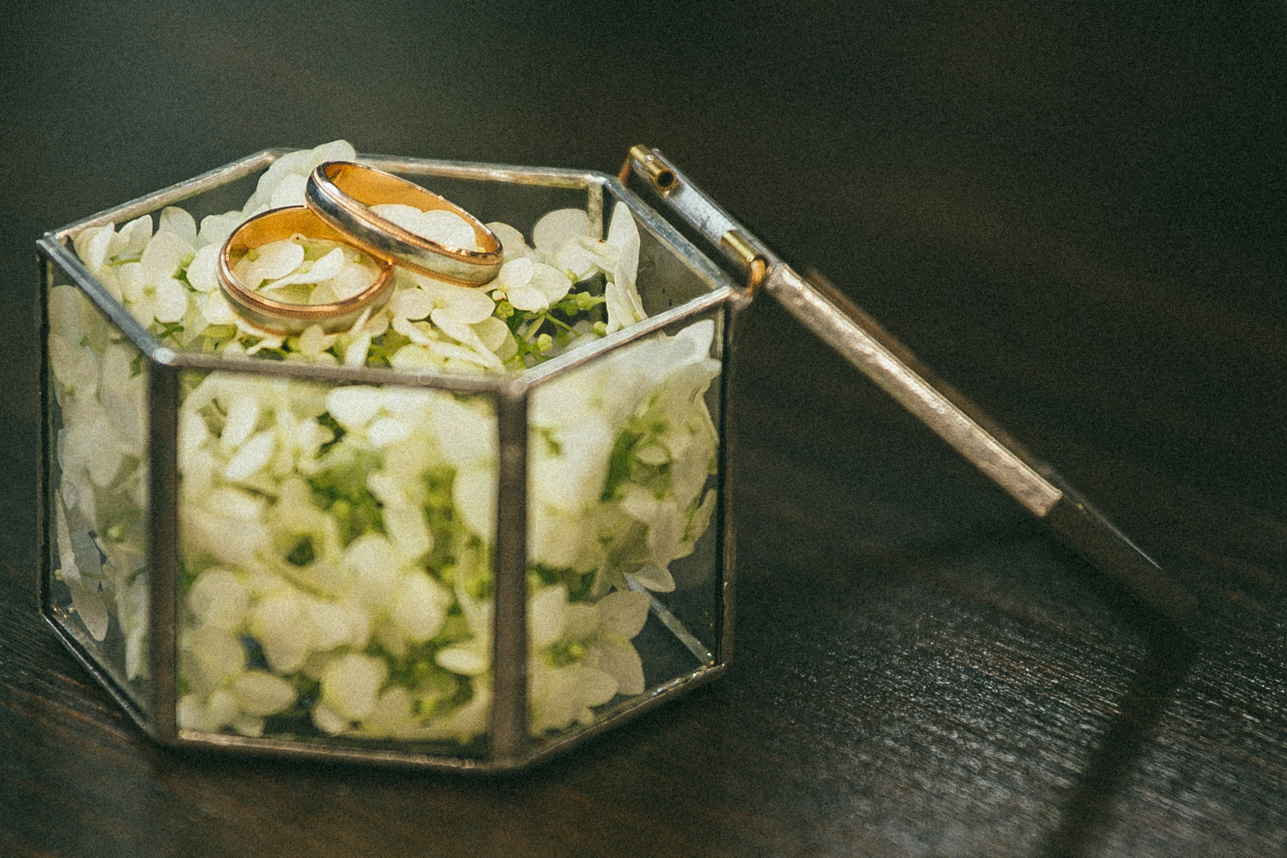 Оля+Миша. Свадебный и семейный фотограф Волкова Маргарита