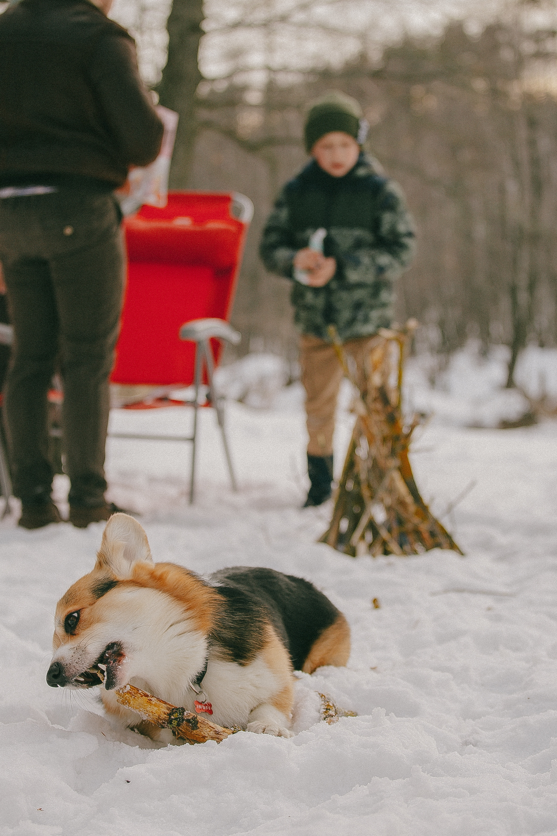 Снежная буря. Свадебный и семейный фотограф Волкова Маргарита