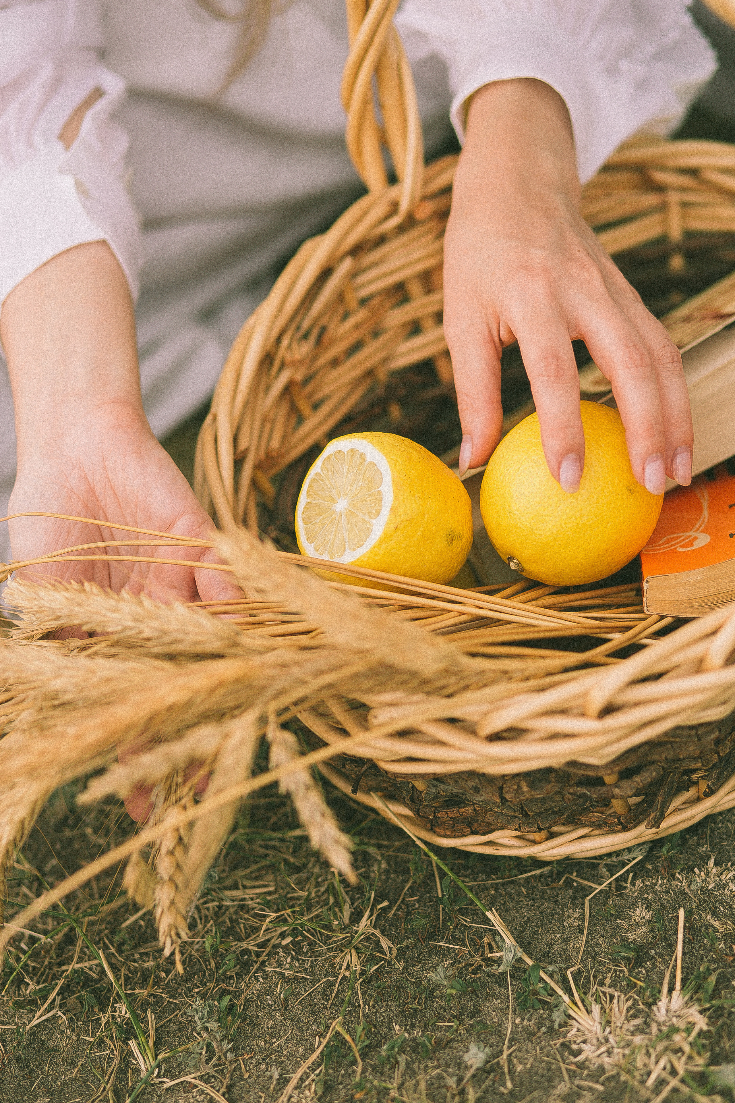 Лето. Свадебный и семейный фотограф Волкова Маргарита